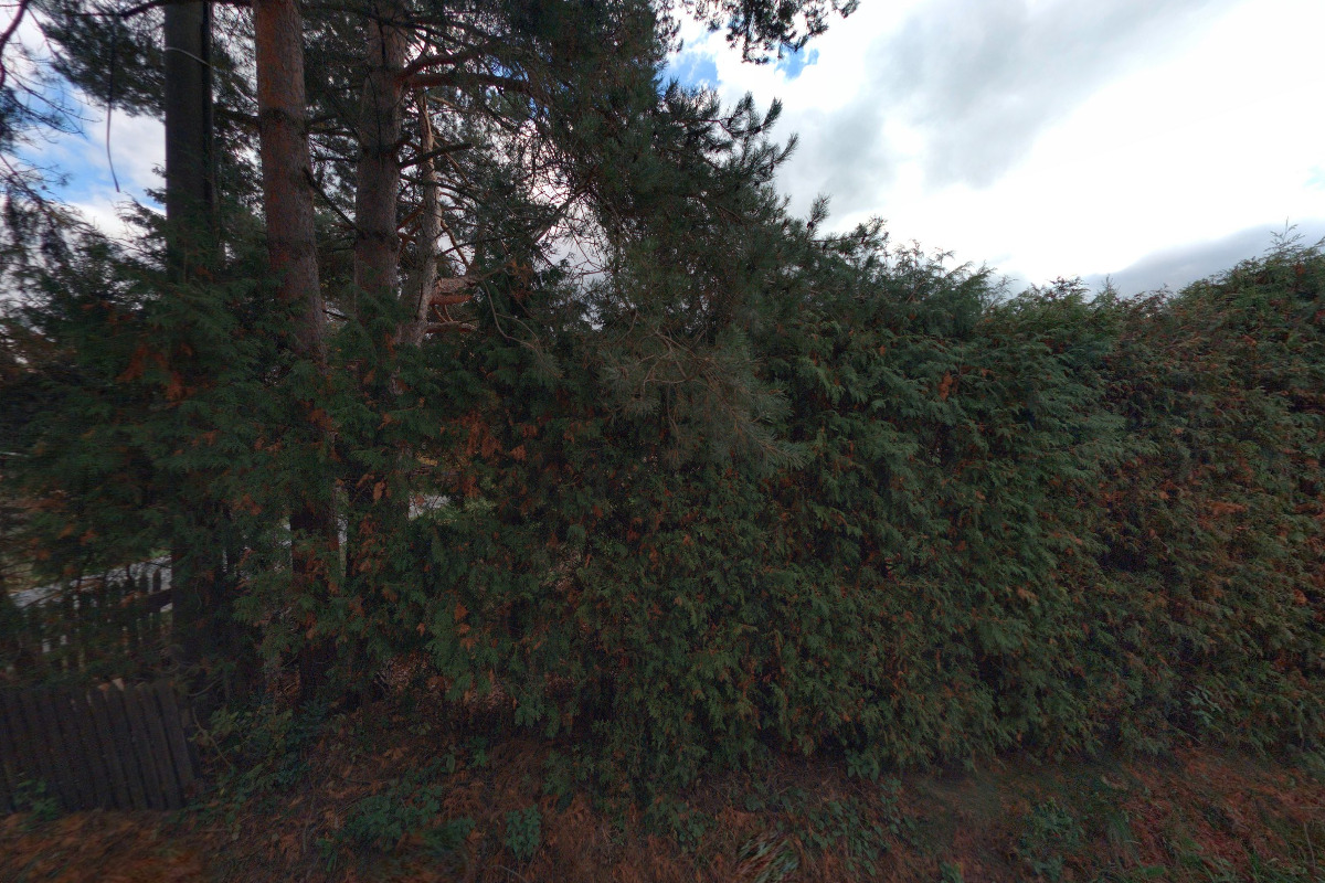 Ivo Vrabec - natěračské práce foto 2