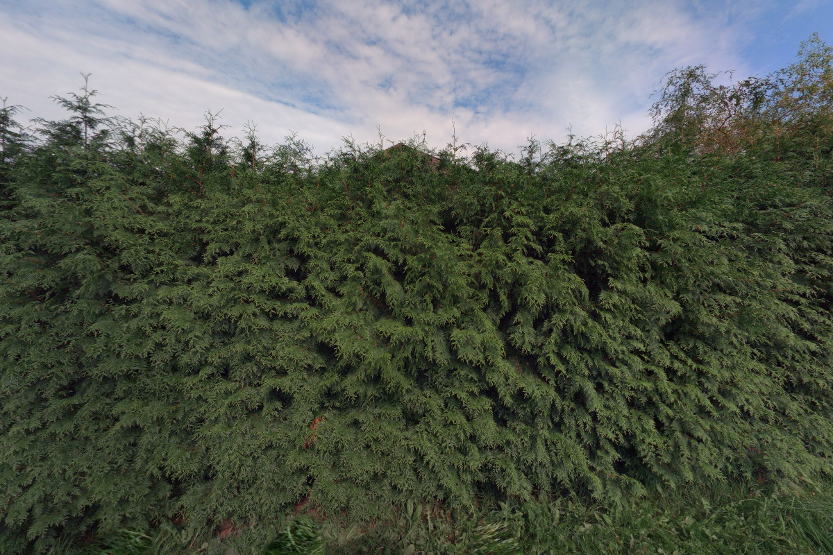 Střechy Kellner foto 2