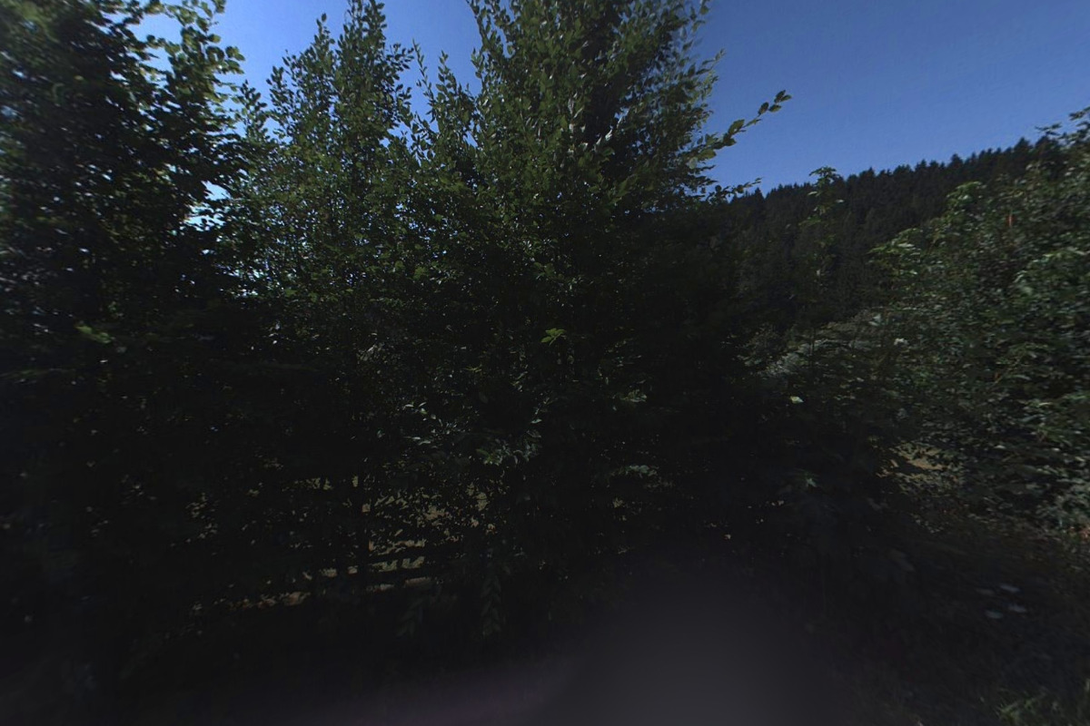 Překladatel španělský jazyk - Lukáš Zlatanovič foto 2