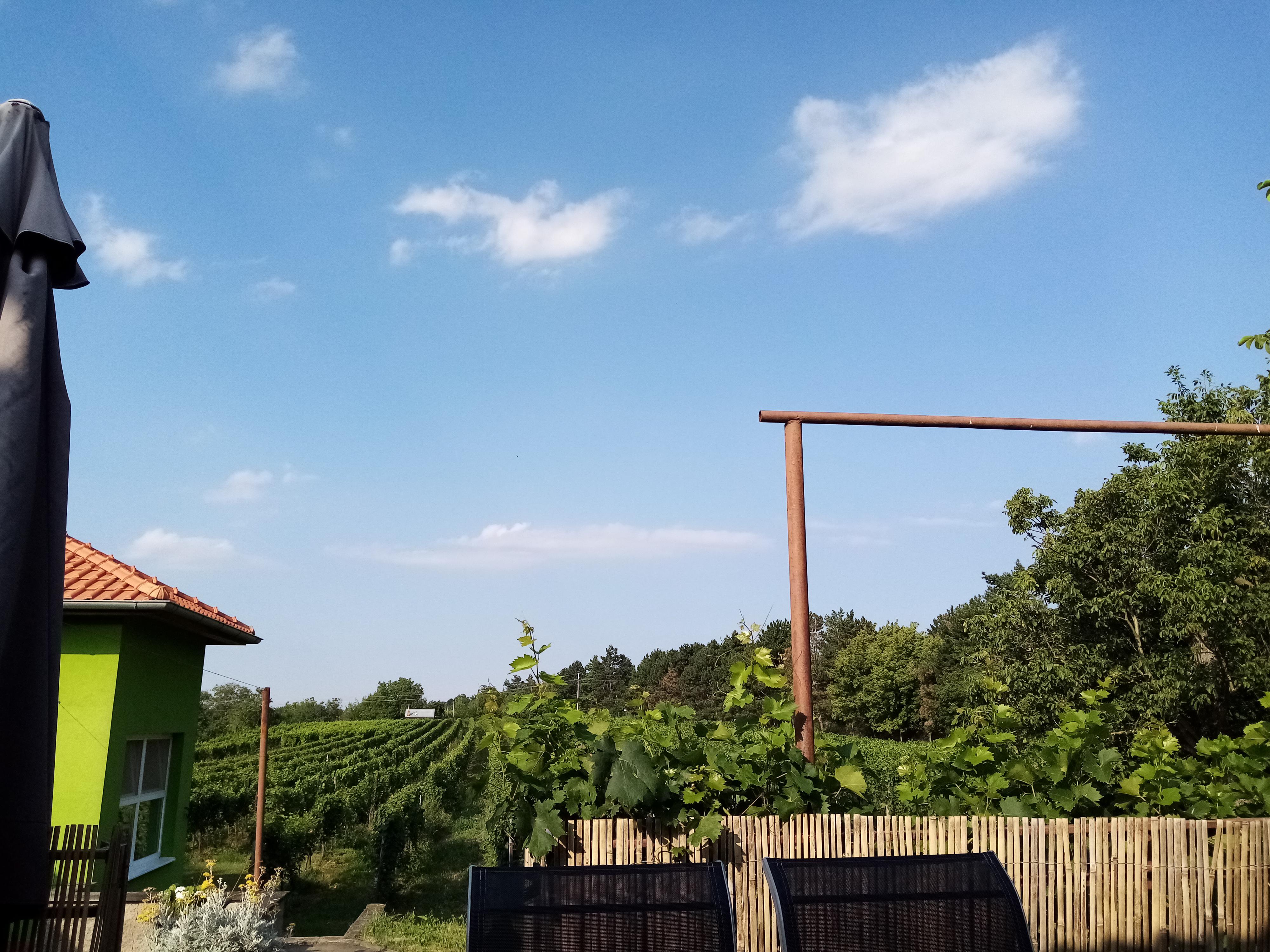 Penzion Vinařství Maláník-Osička foto 6