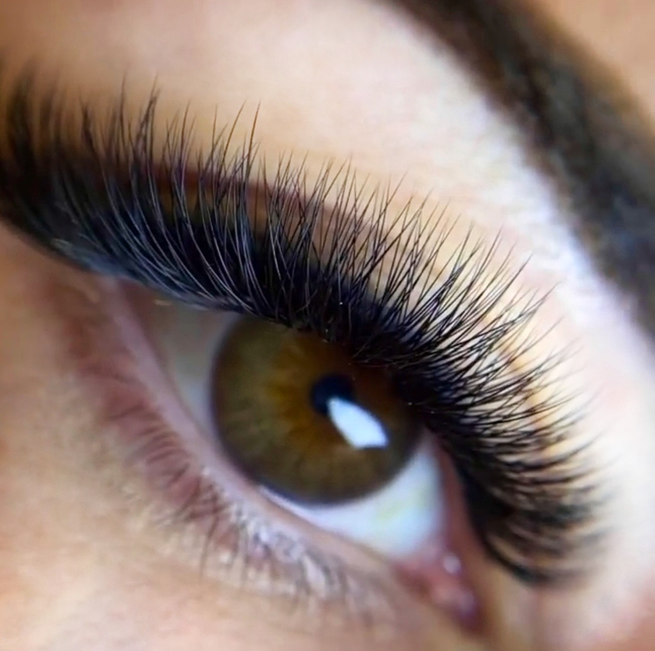 Hollywoodský objem řas