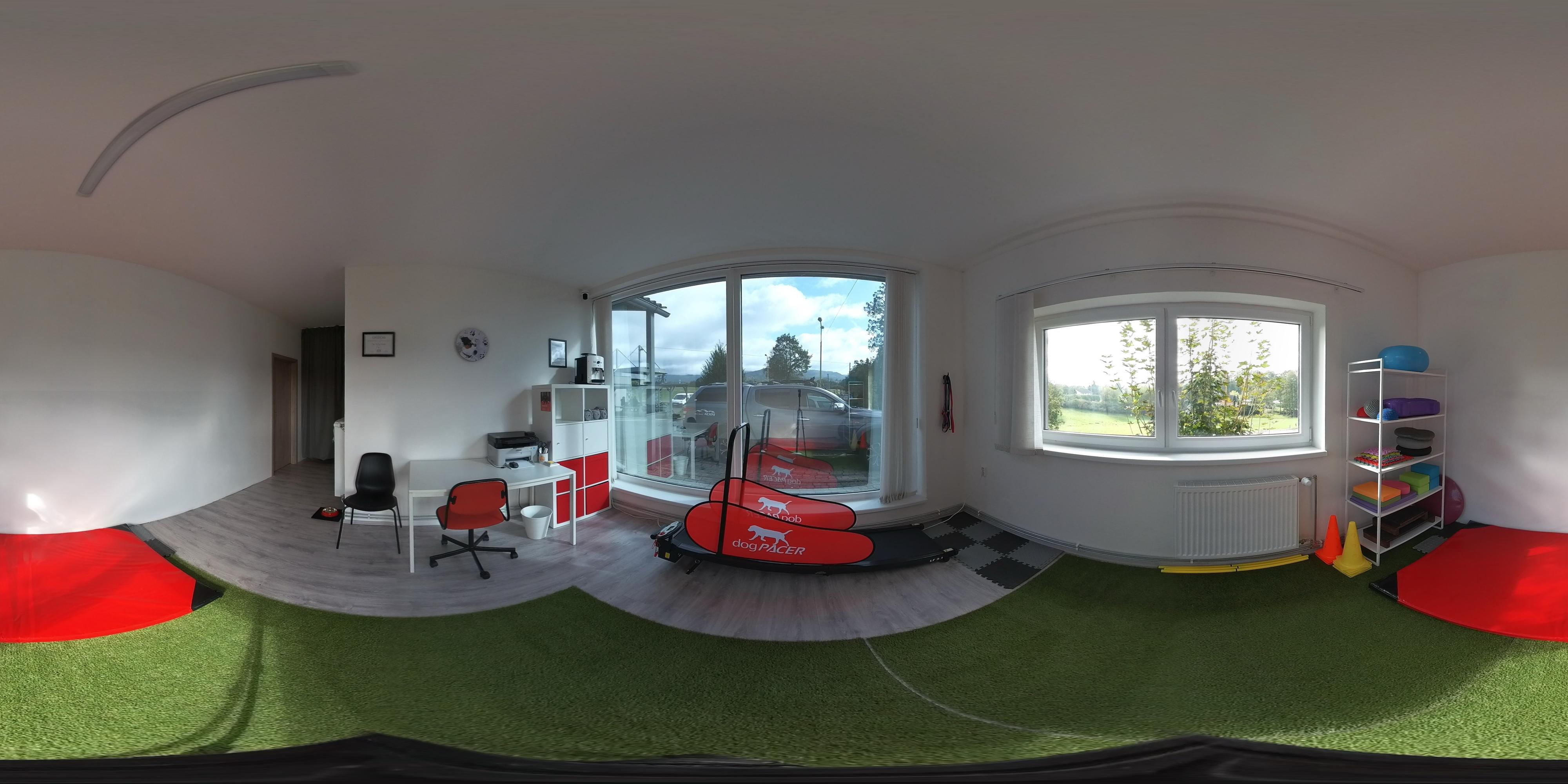 DOGvillage - K9 fyzio foto 2