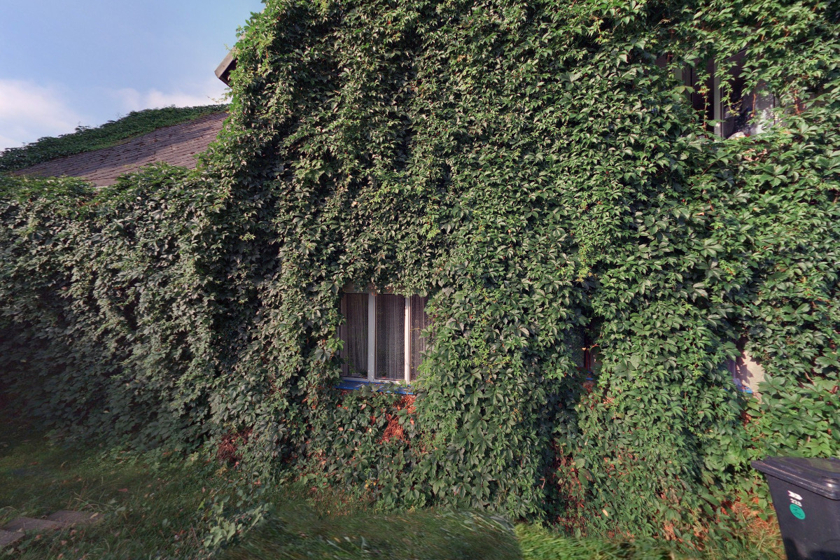 Advokátní kancelář Věra Jedličková