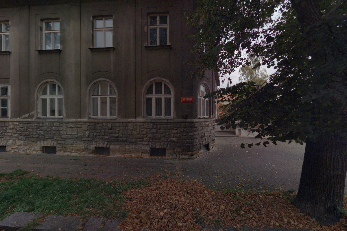 Kočičí tlapky, z. s.