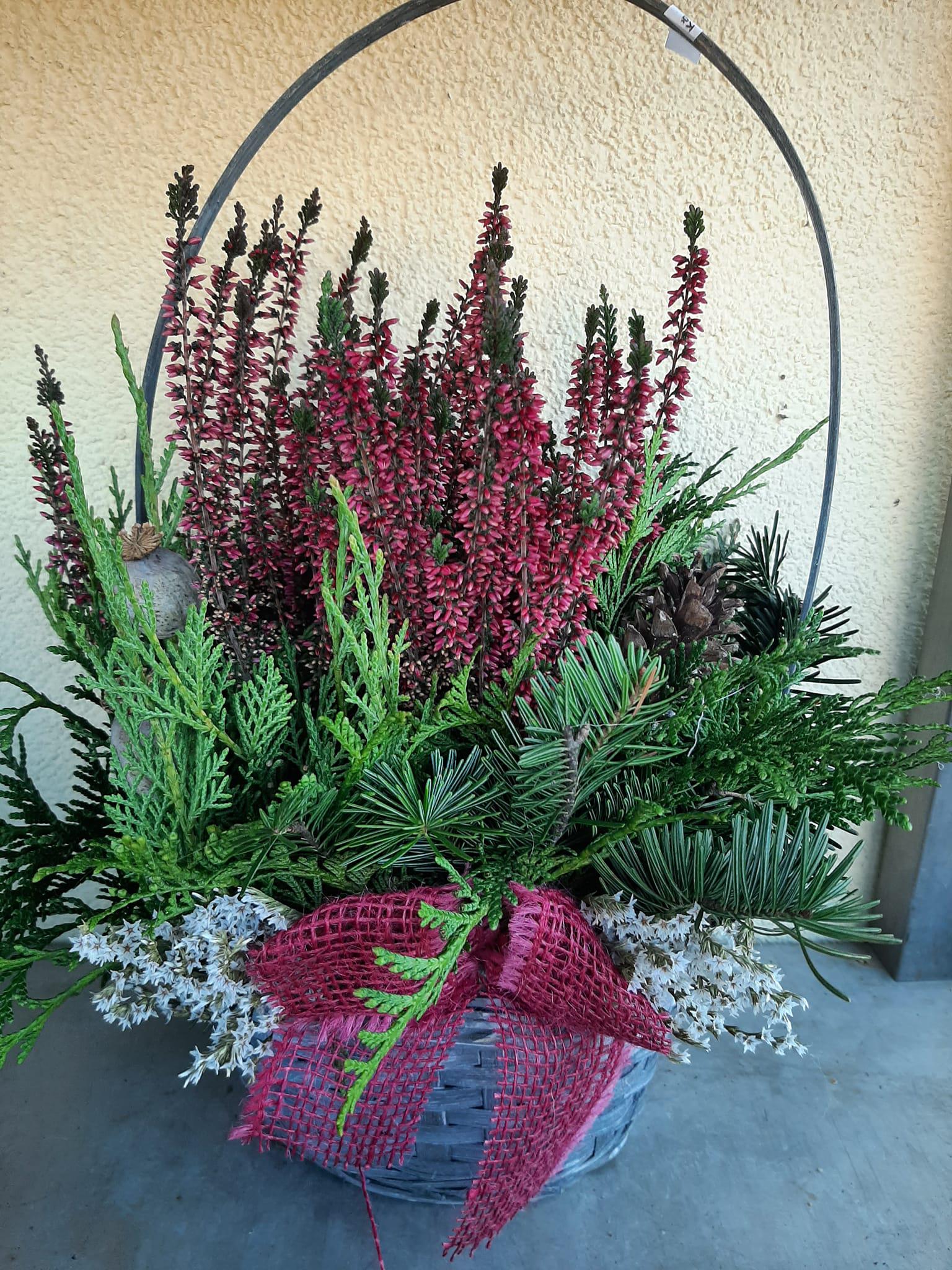 Zahradnictví Doubravka, s.r.o. foto 5