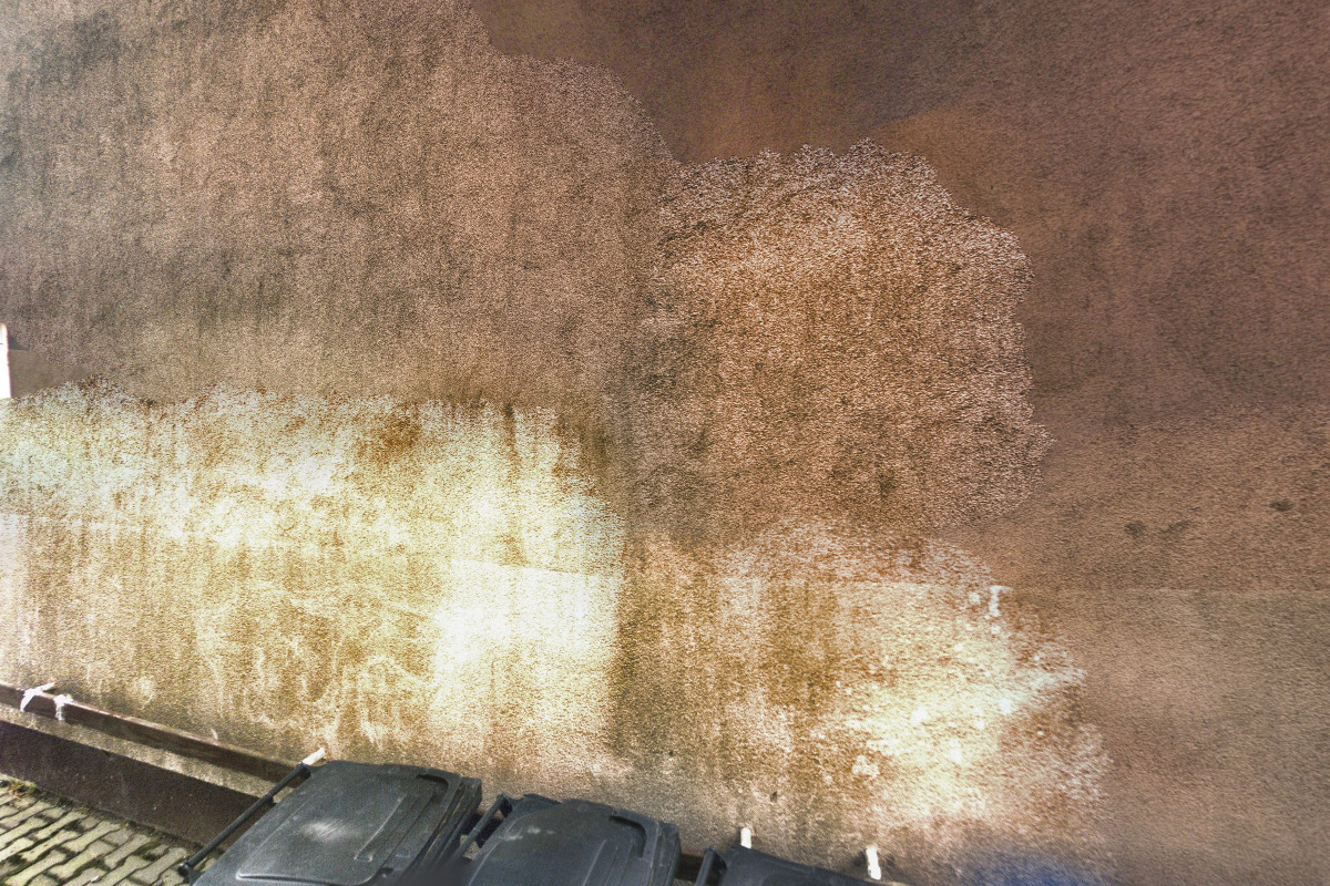 Jana Nygrinová foto 1