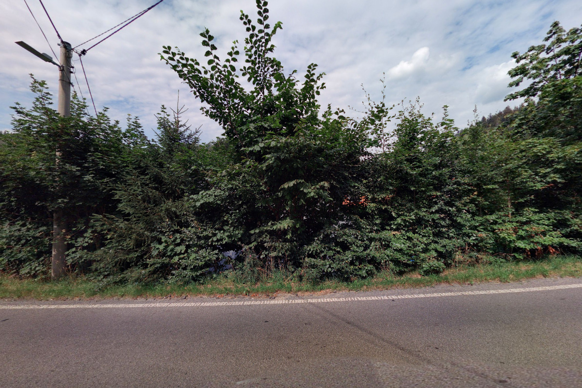 Střechy - Petr Kvasnica