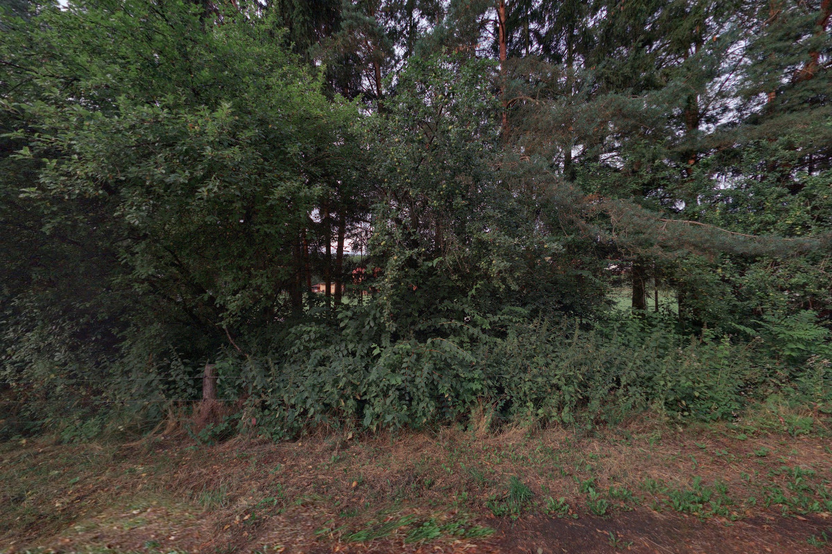 TJ Sokol Nevšová foto 2