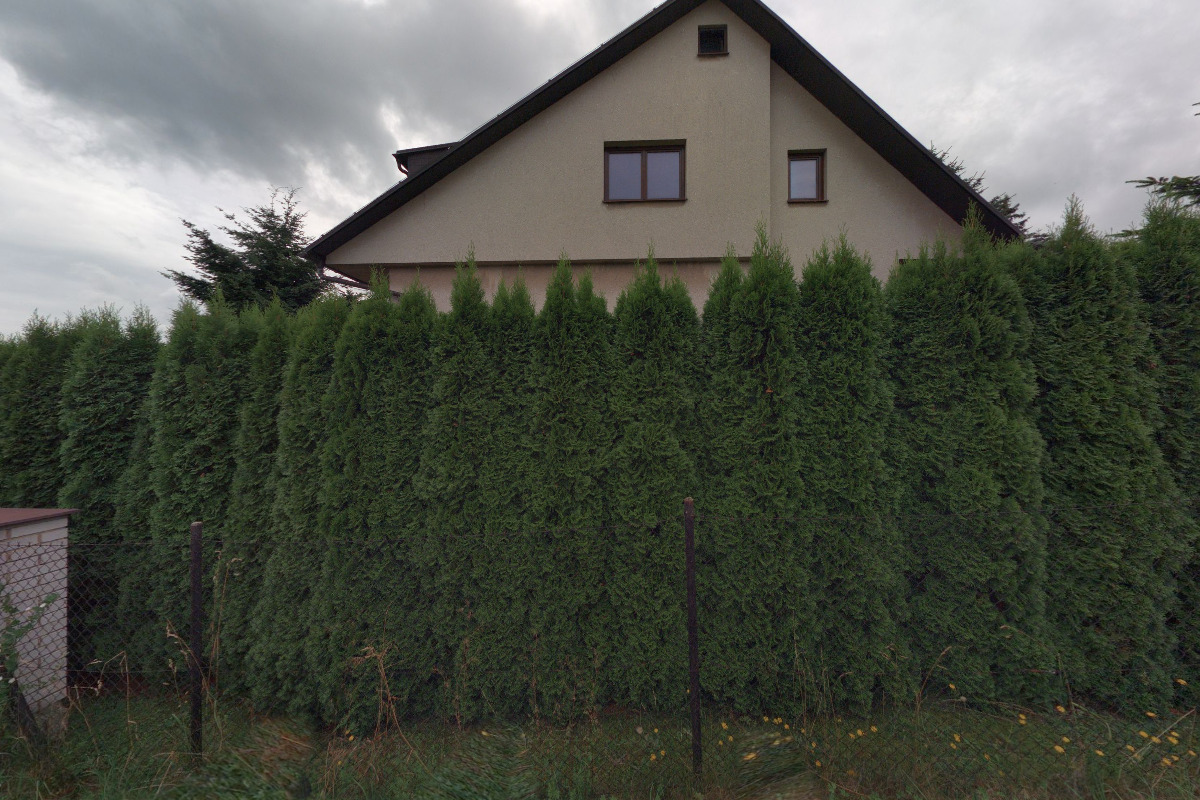 Milan Ptáček foto 2