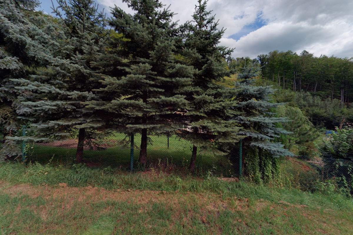 Pavel Wagner - prodej pstruhů