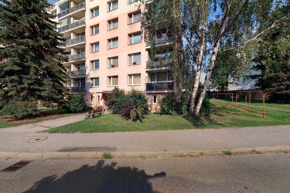 Čínská medicína - Ing. Lenka Hryzová