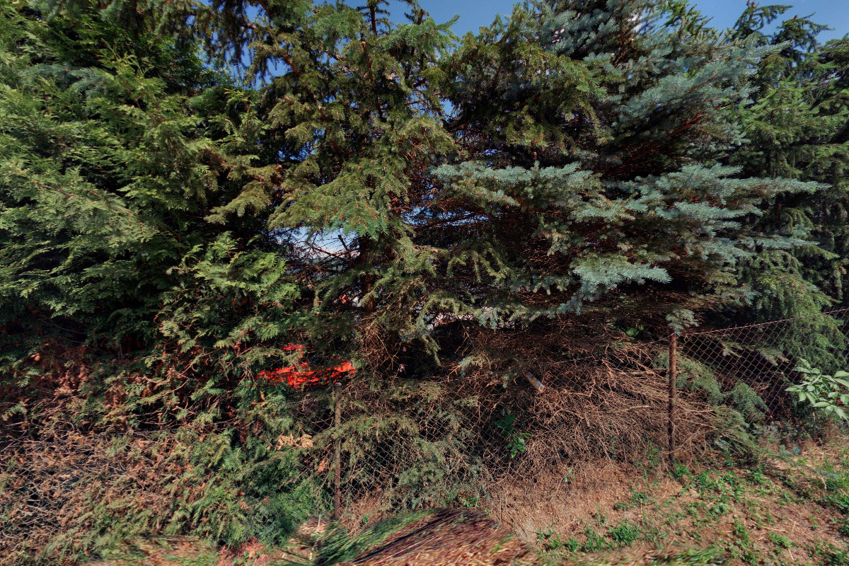 Vladimír Maňák - JVM