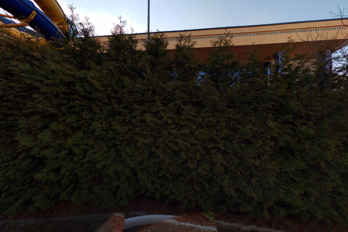 Lenka Zápotočná - Pedikúra