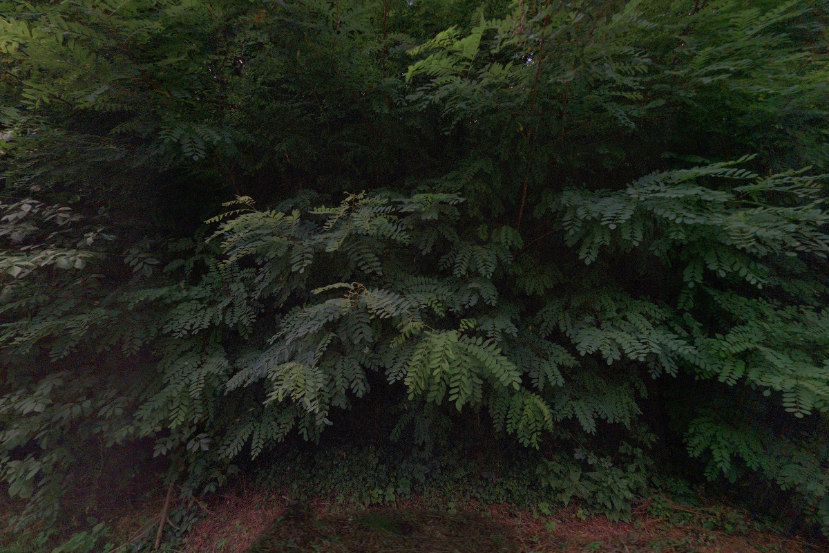 Bublina- agentura pro děti a mládež