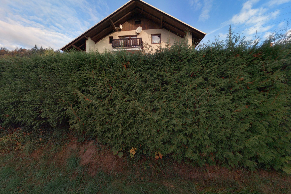 Milena Marková foto 2