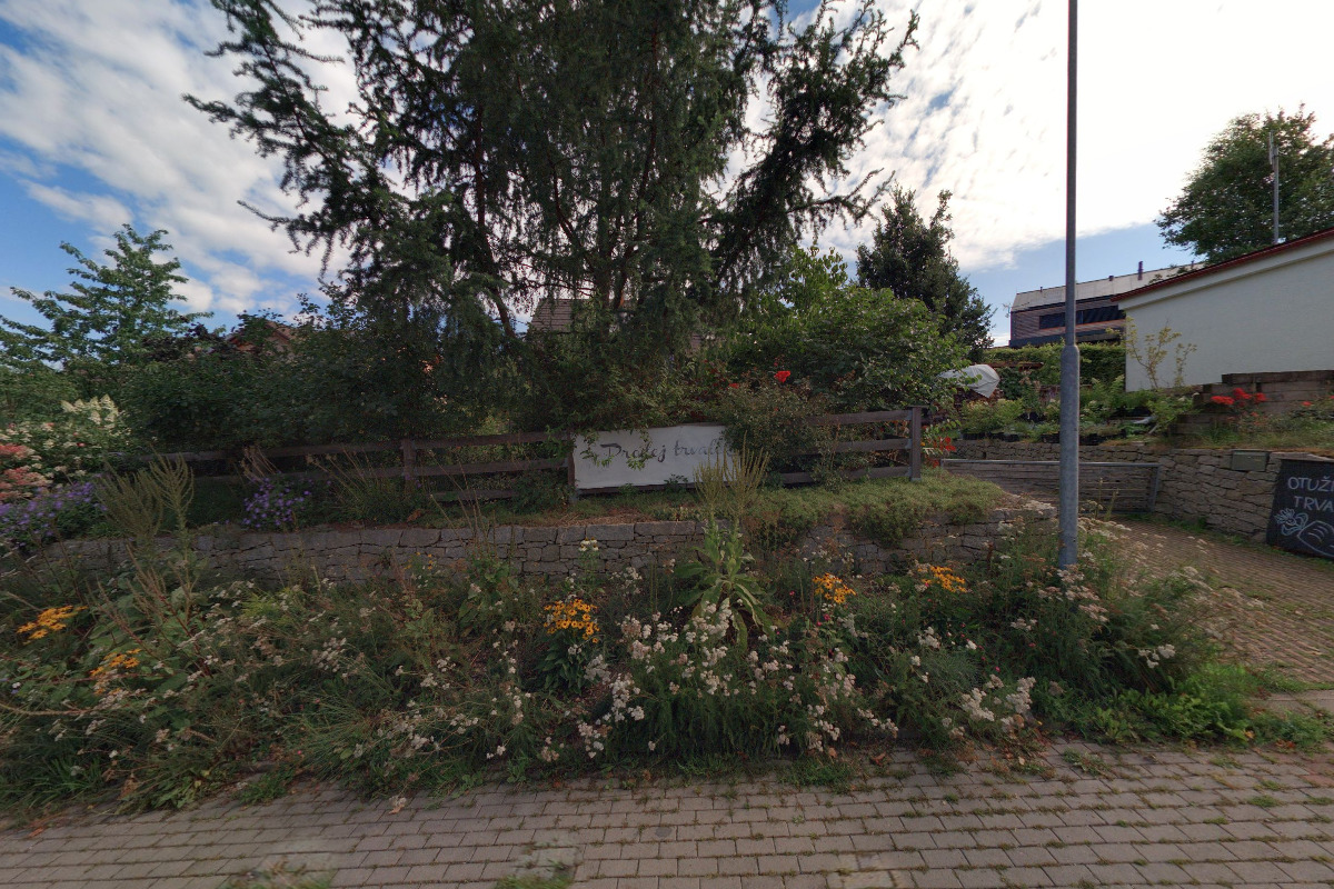 Prodejní zahrada Vesecké trvalky foto 2
