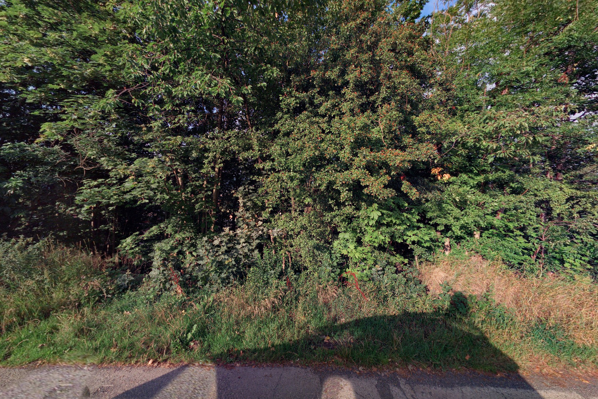 LICOLOR, a.s. foto 3