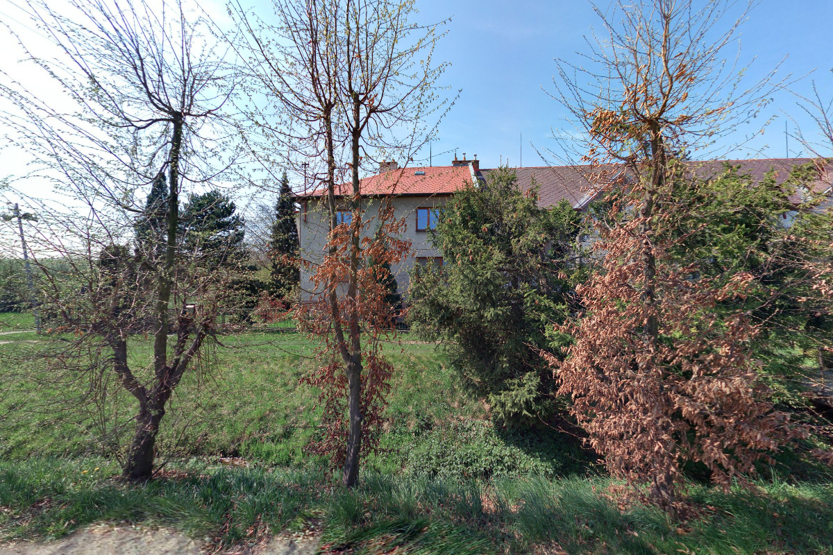 Kuře Tučapy - Jitka Chytilová foto 2