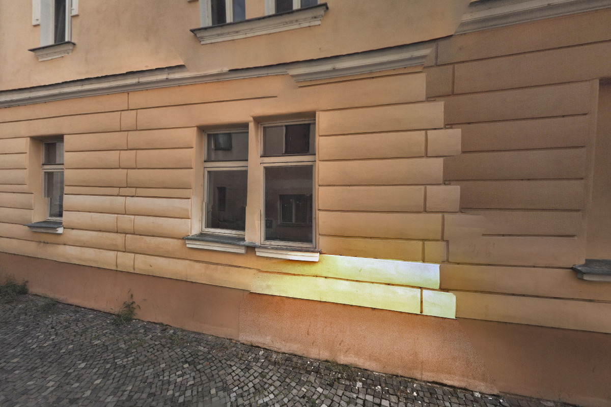 DOMÁCÍ ŠTĚSTÍČKO foto 2