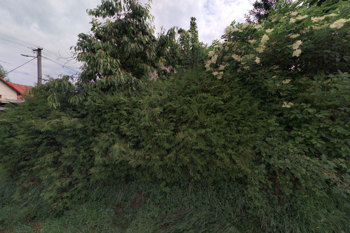 Zdeněk Švehlák - ZS Stav