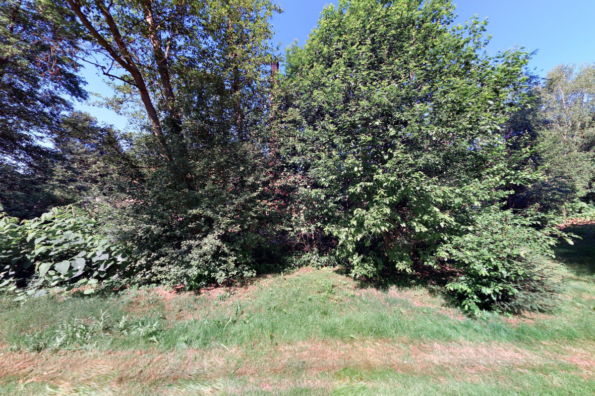 Milan Vlášek  - Revize vozidel