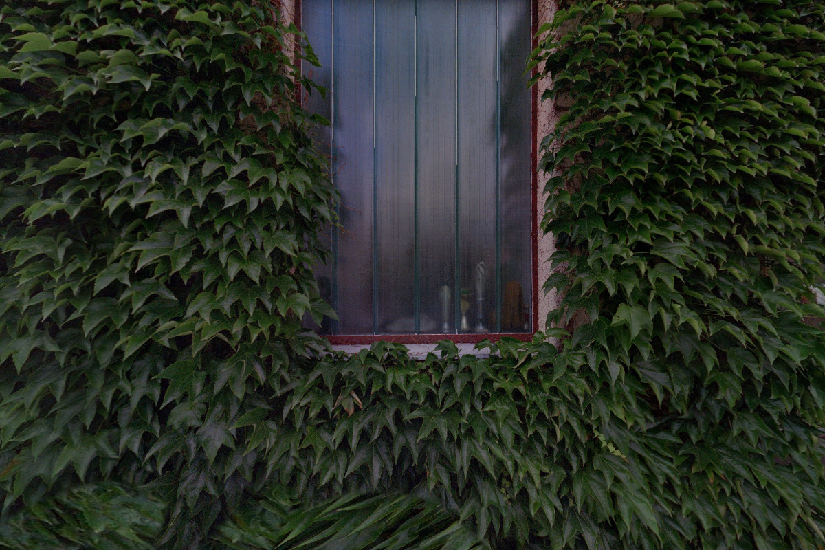 Radomír Januška - ostření dřevoobráběcích nástrojů