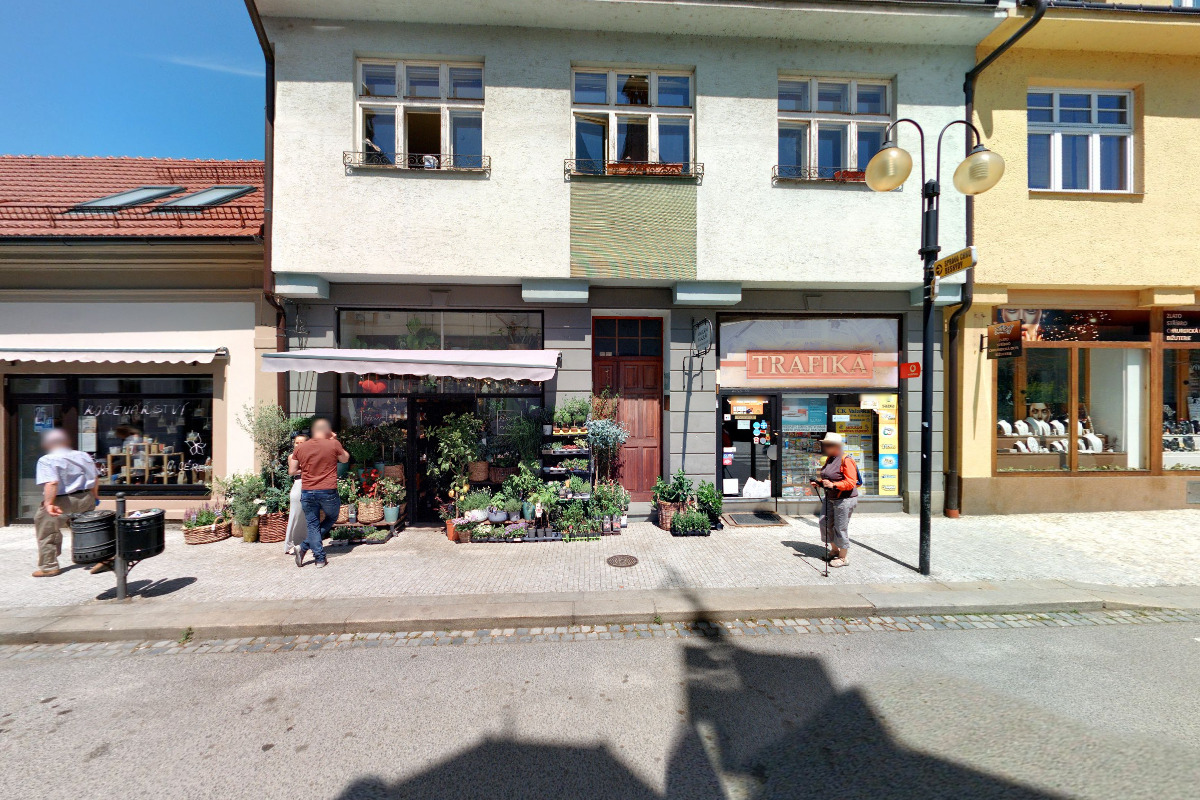 Pěkný kvítko foto 1