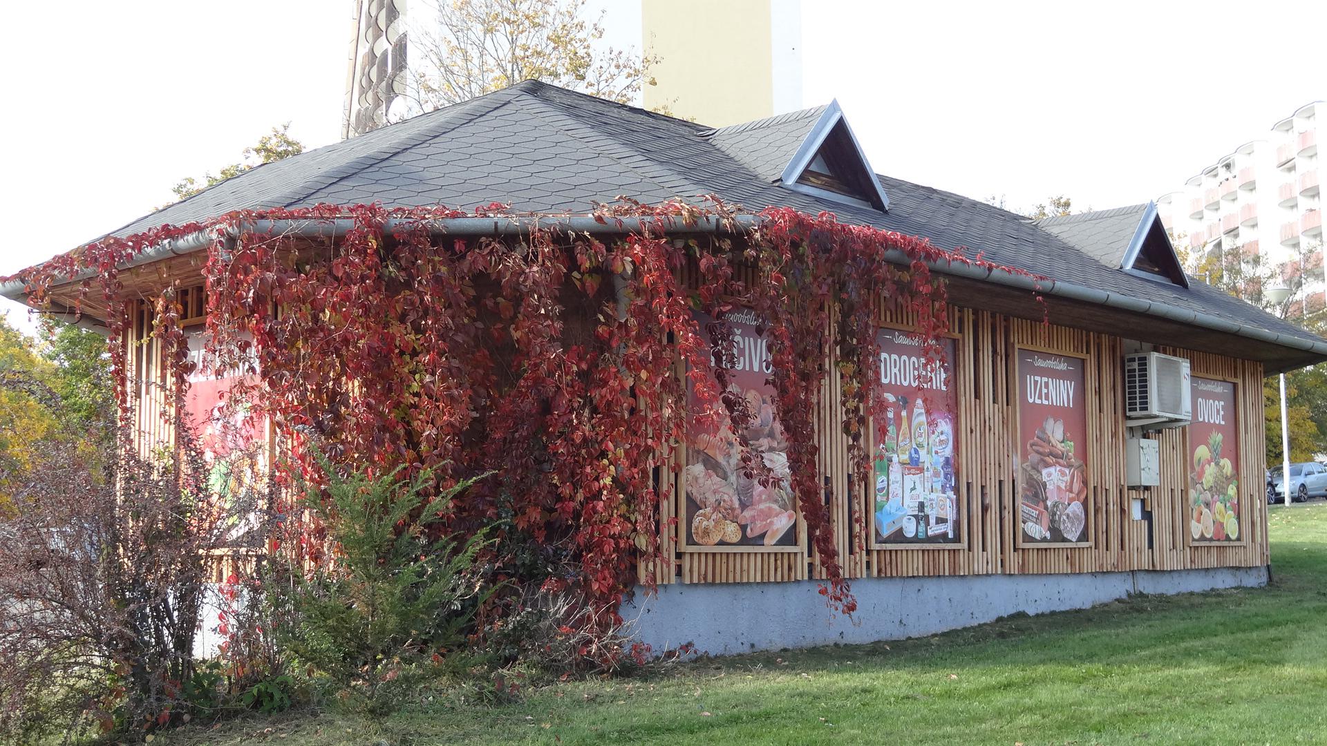 Potraviny Blažkova 1