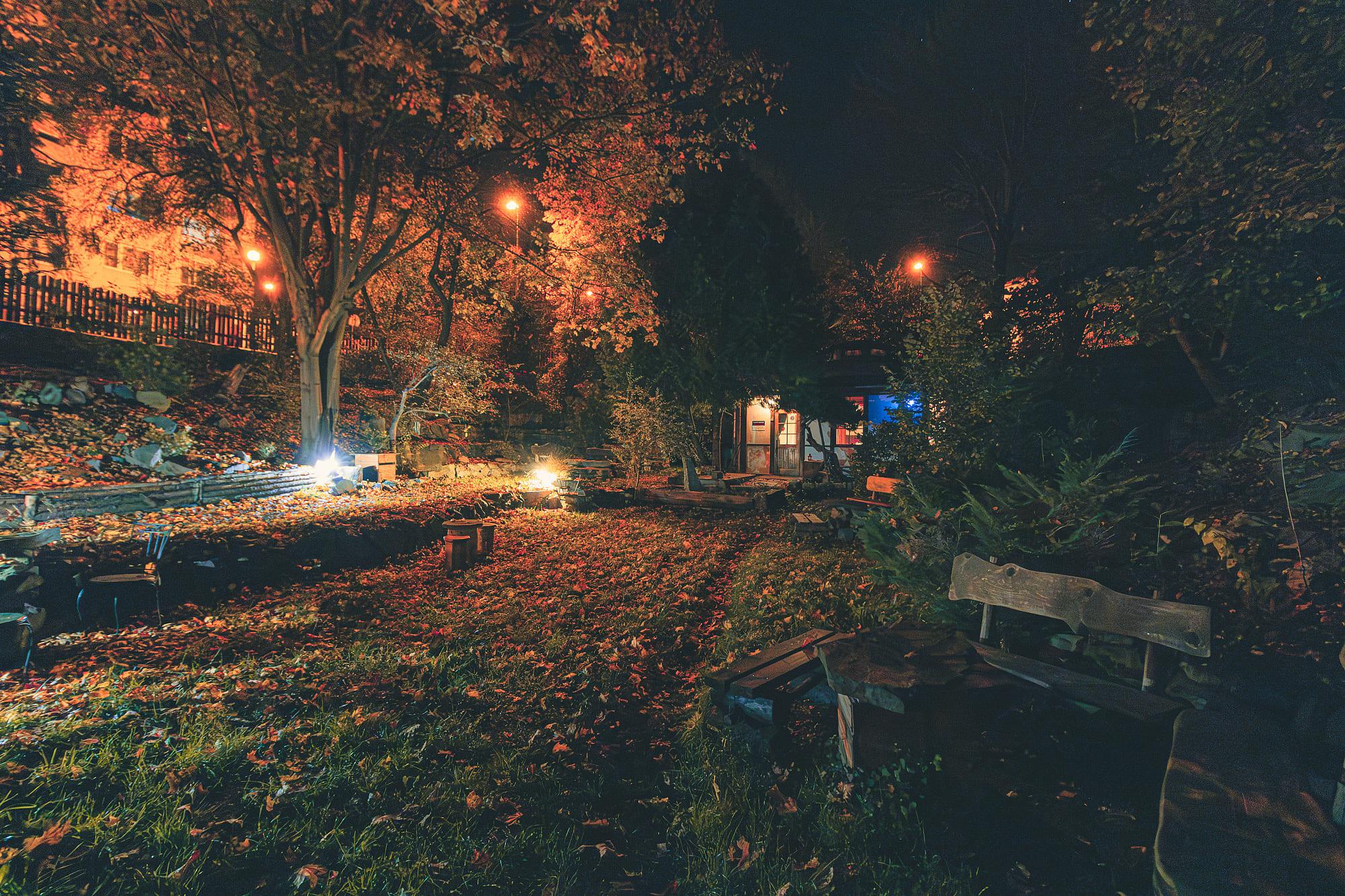 Čajový obchod a Tao čajovna foto 5