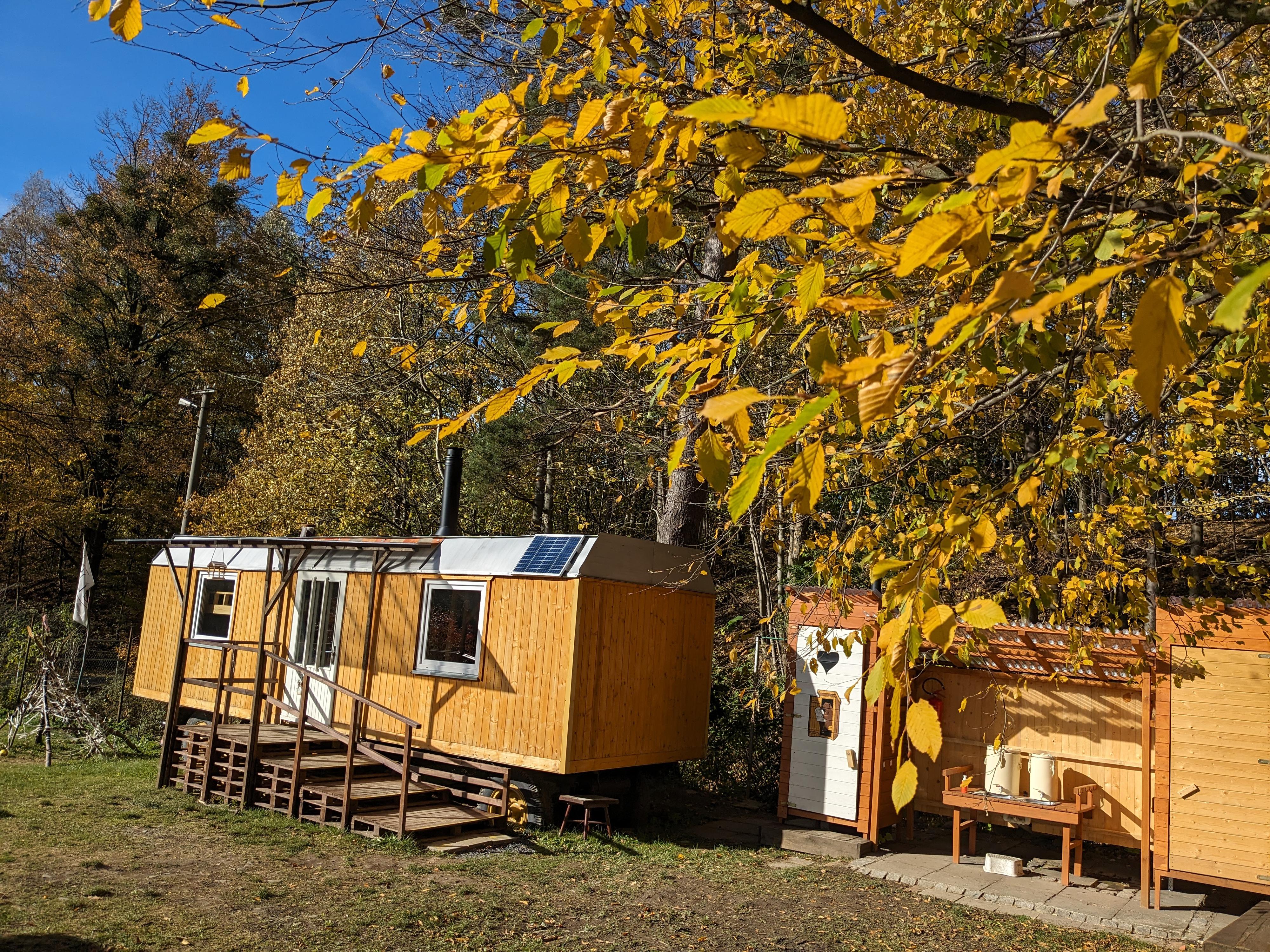 Lesní mateřská škola a komunitní klub Pecka foto 2