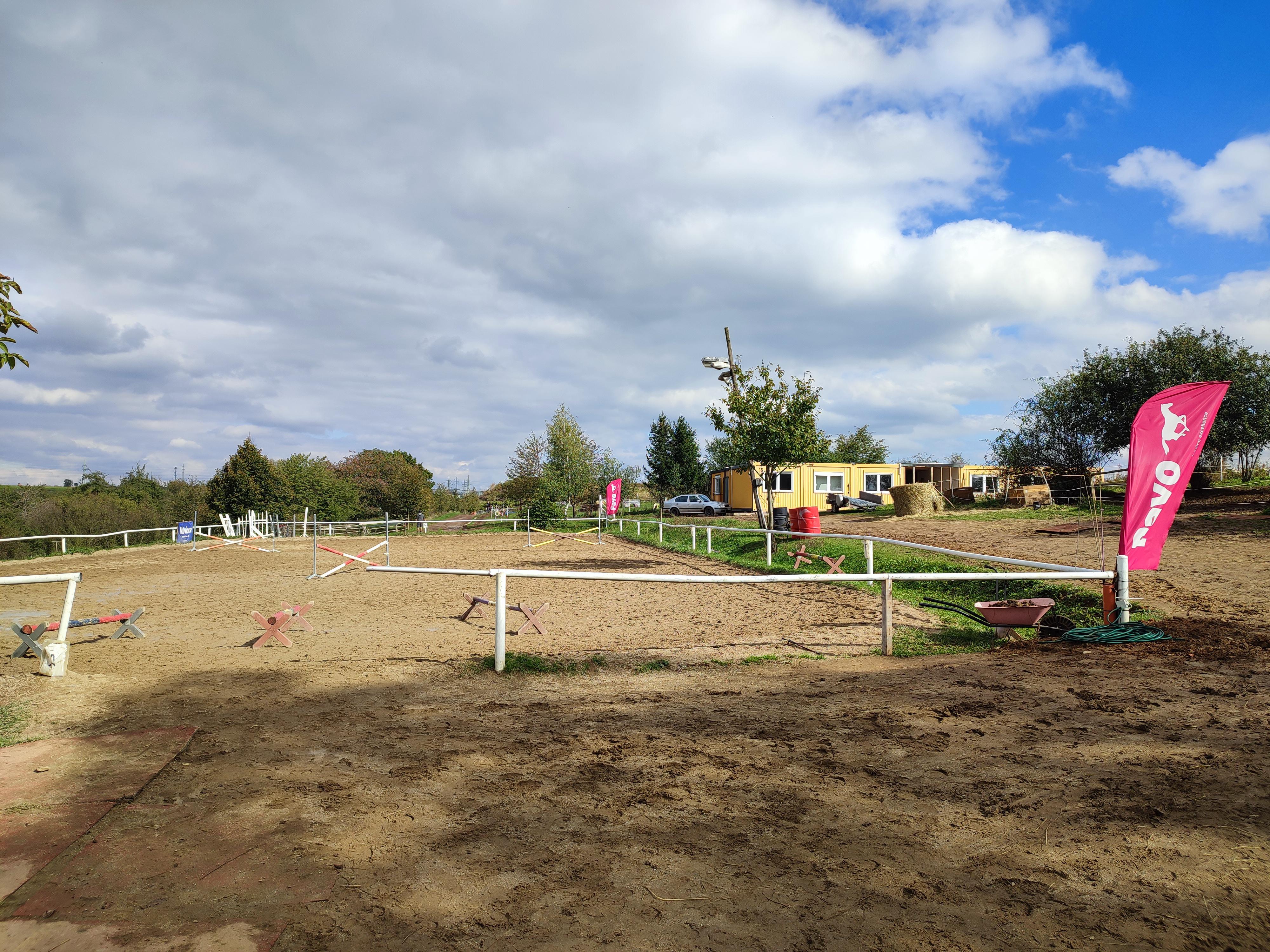 Pink Dressage Zmrzlík foto 1