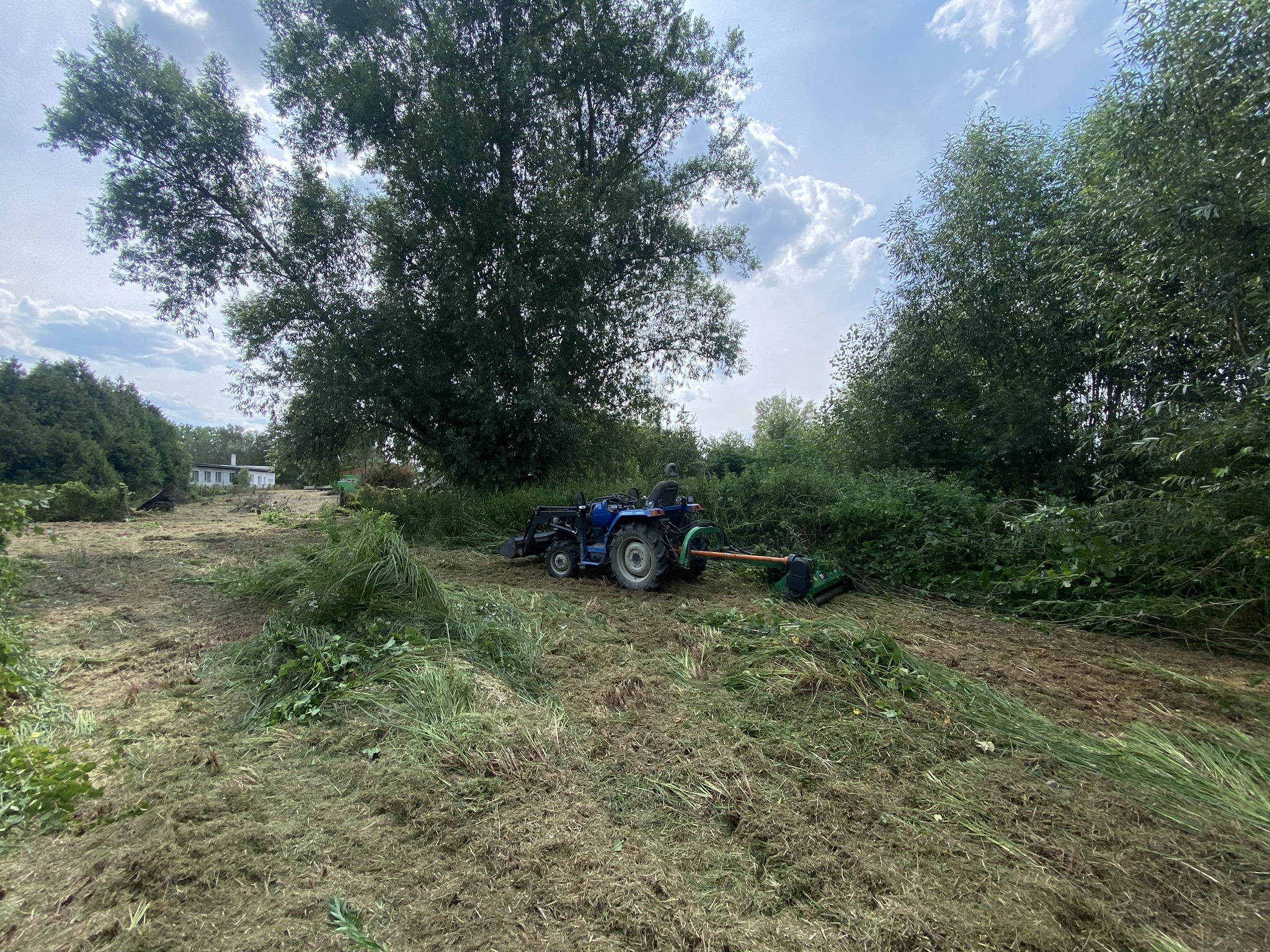 Sečení trávy, čištění pozemků