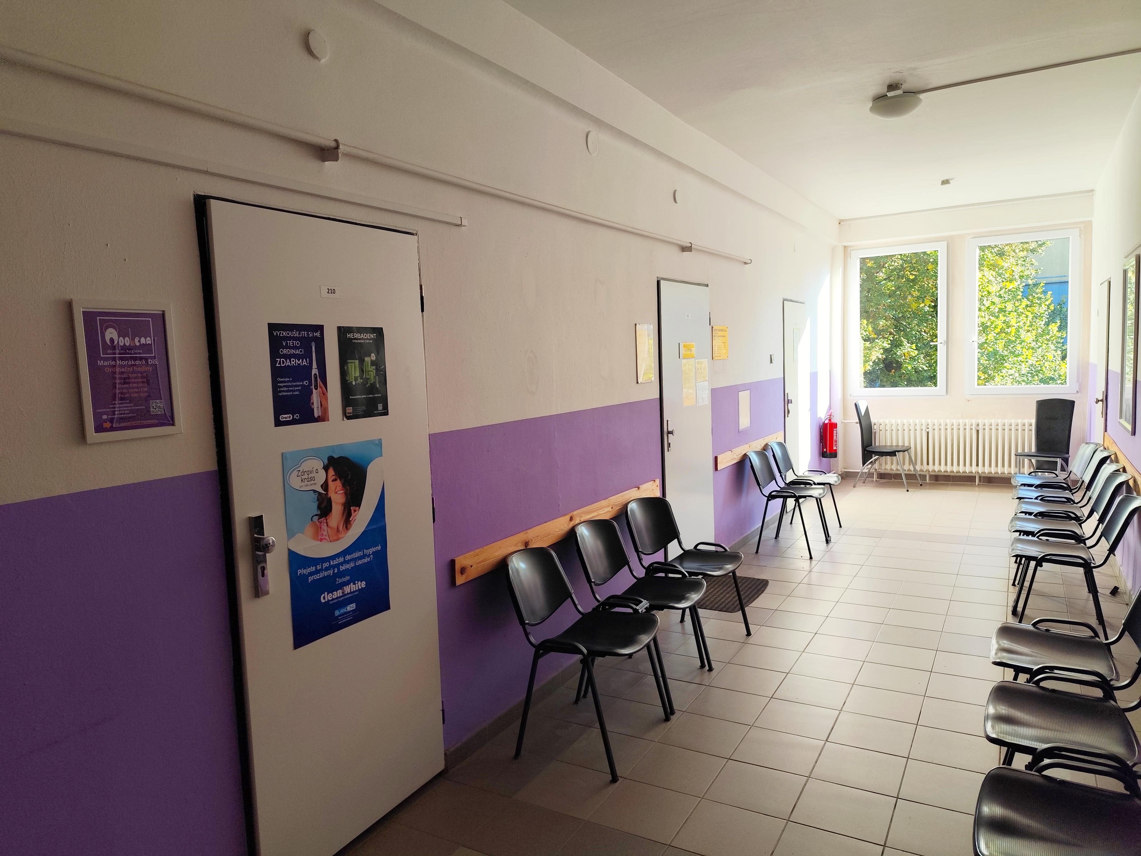 Dentální hygiena Apolena, Marie Horáková, DiS. foto 2