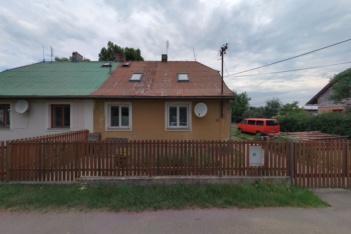 Agility Dogs of Needles