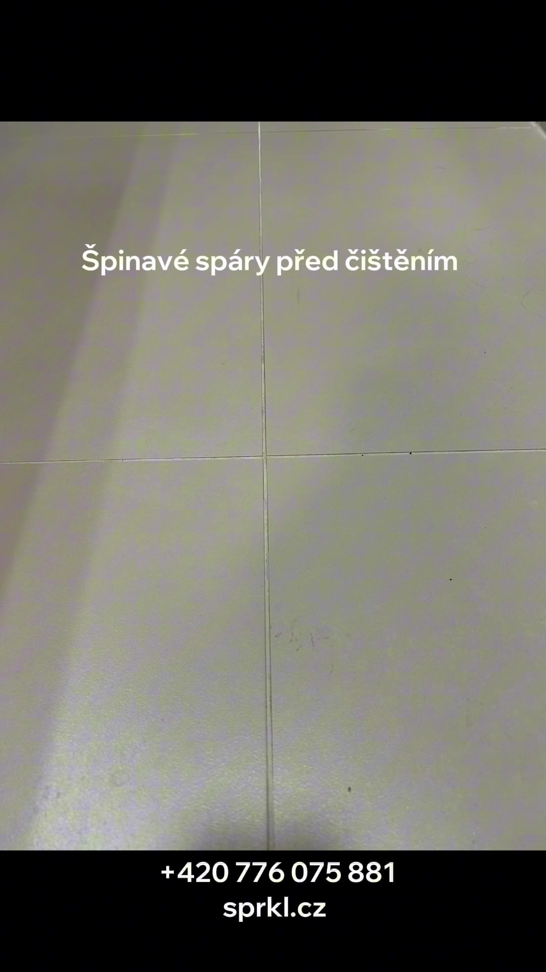 Sparkle - úklidové služby foto 2 (náhled videa)