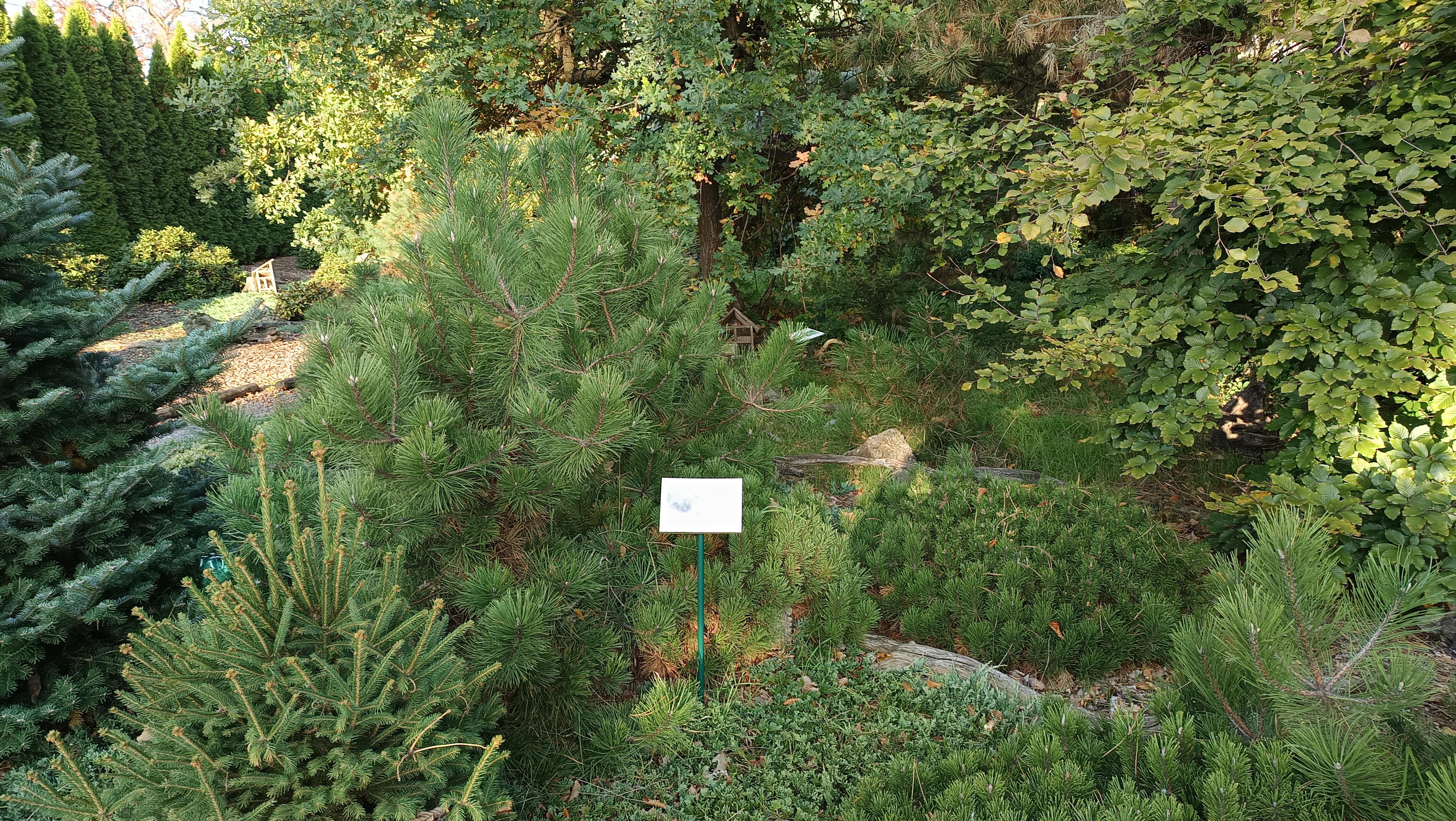 Základní škola Václava Havla, Poděbrady foto 4