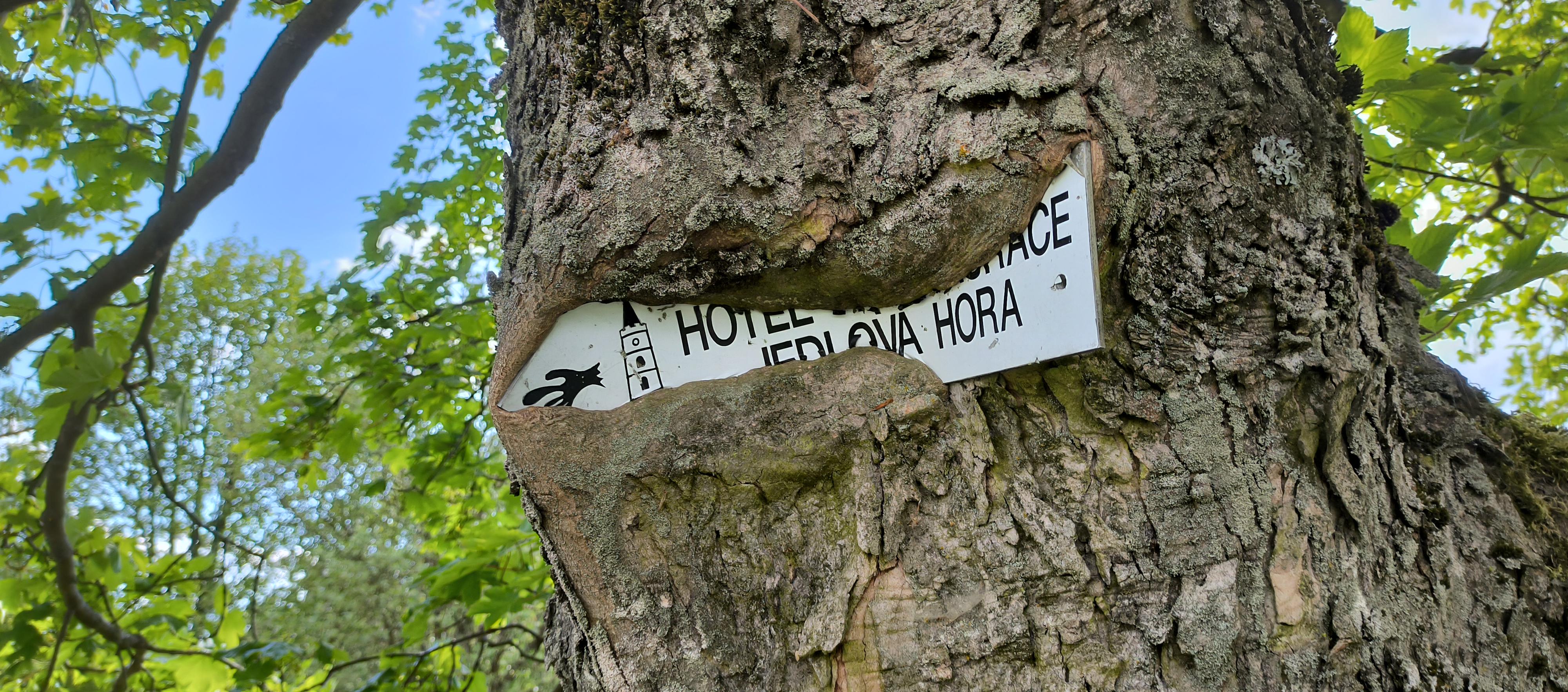 Hotel Jedlová hora foto 5
