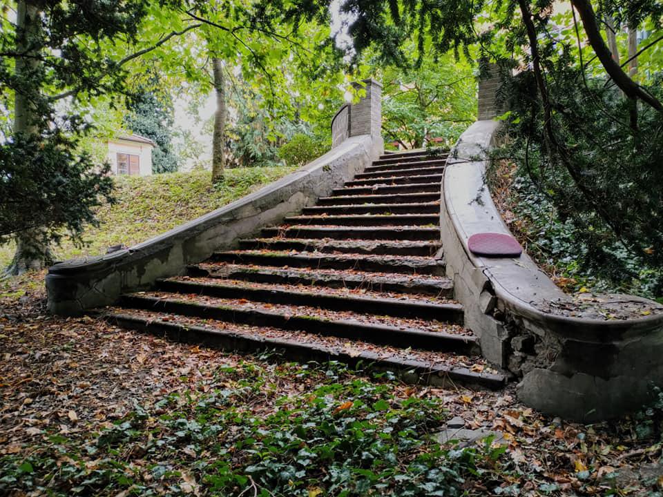 Lesní správa Jindřichův Hradec - Lesy České republiky foto 4
