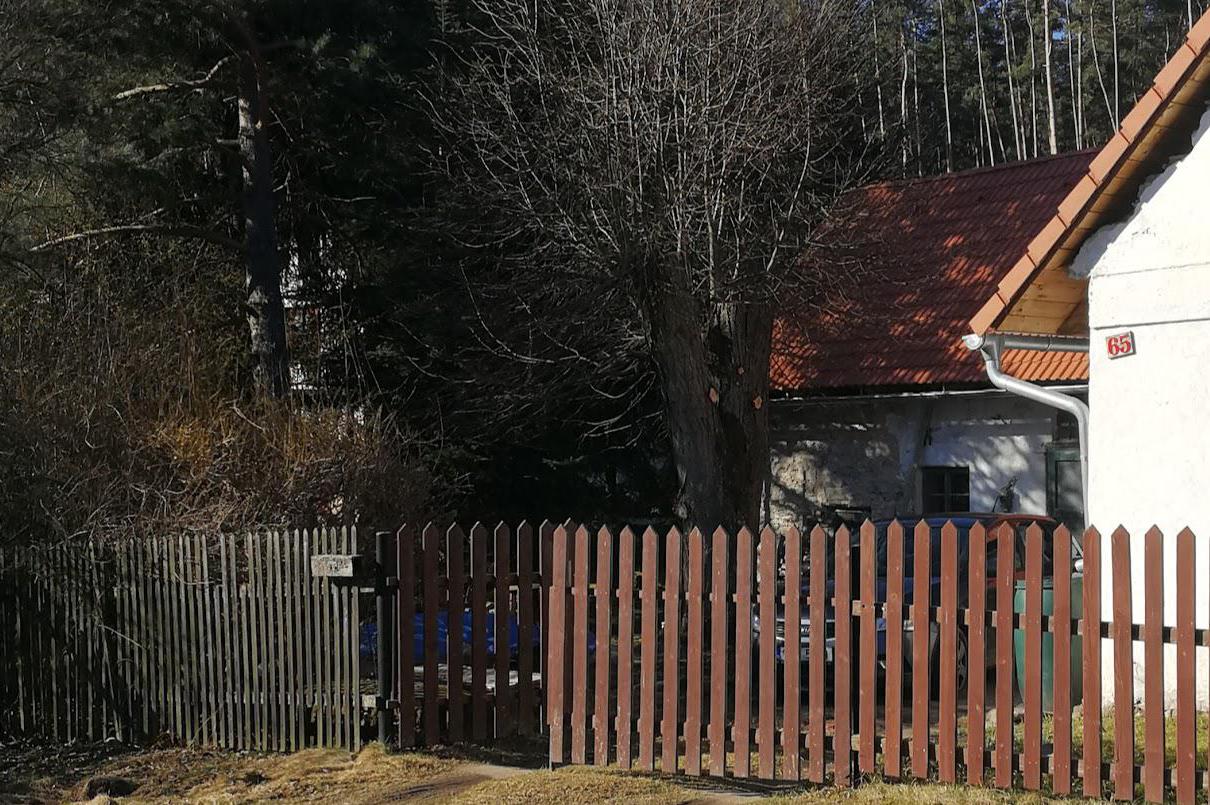 Zedník Milan Tichý