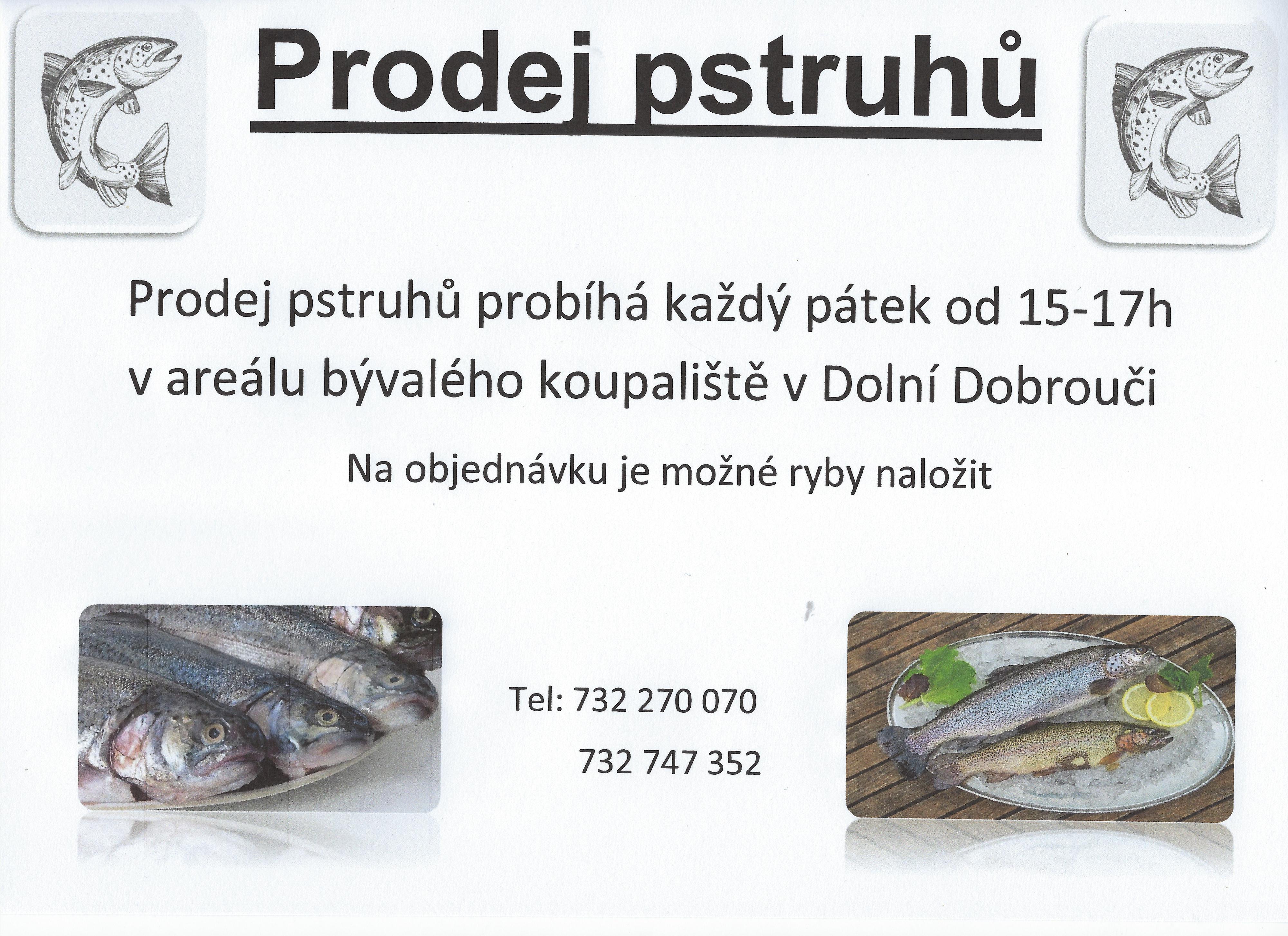 Prodej ryb Dolní Dobrouč foto 2