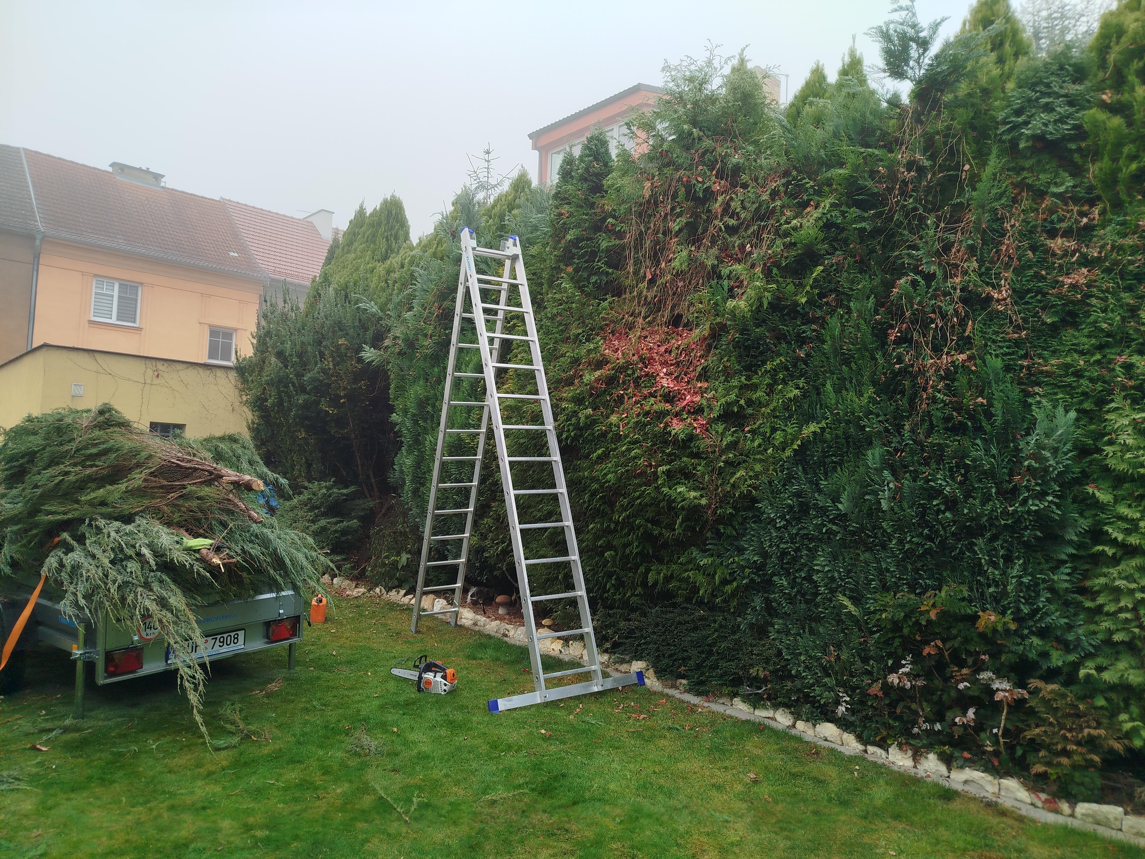 Rizikové kácení stromů Miloslav Rezler foto 3