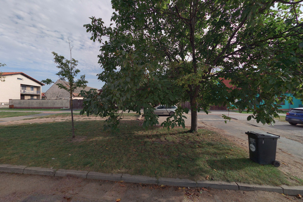 Mini Market Potraviny foto 2