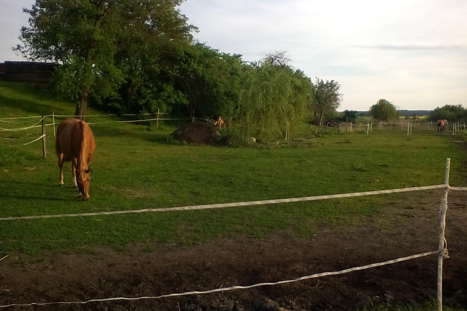 Jezdecká stáj Bratronice foto 1