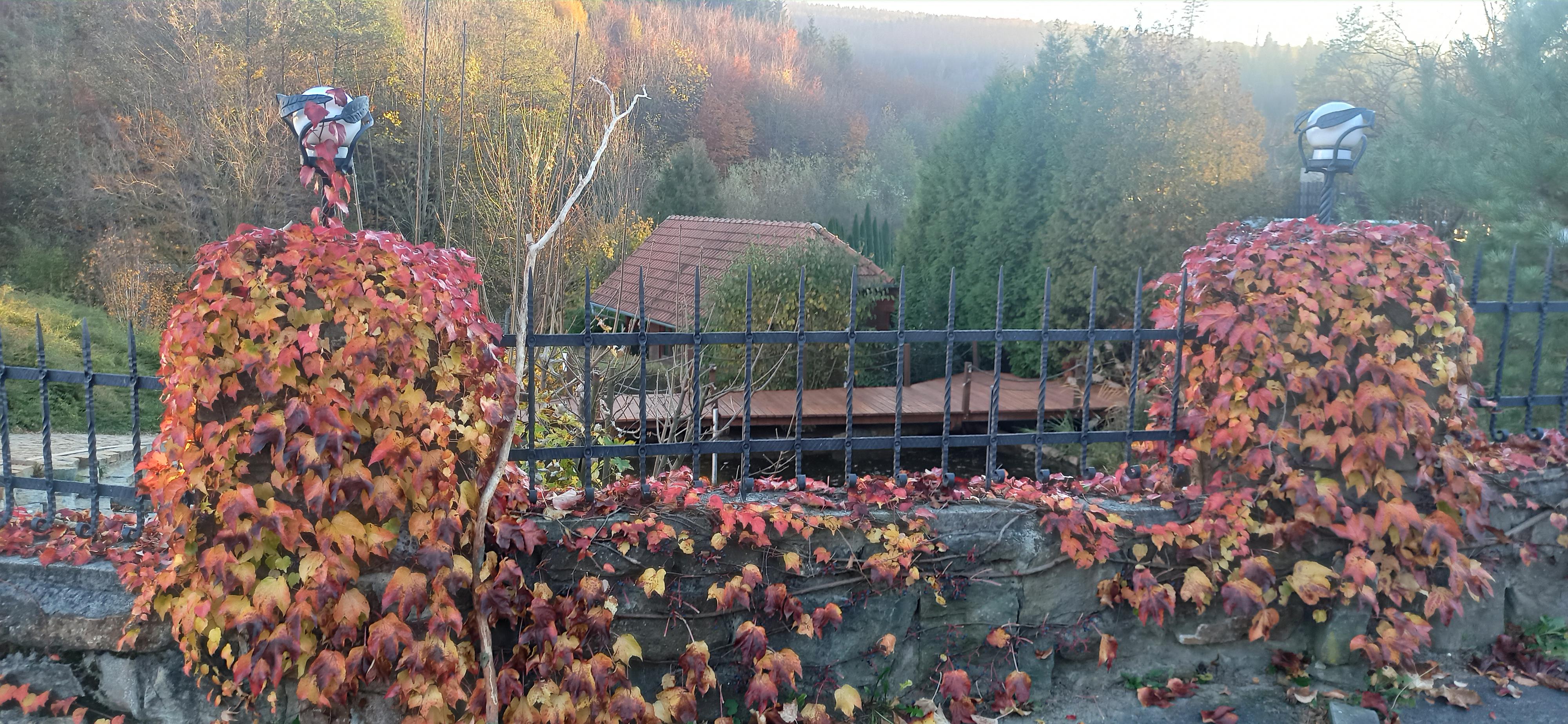 Hostinec U černého potoka foto 4