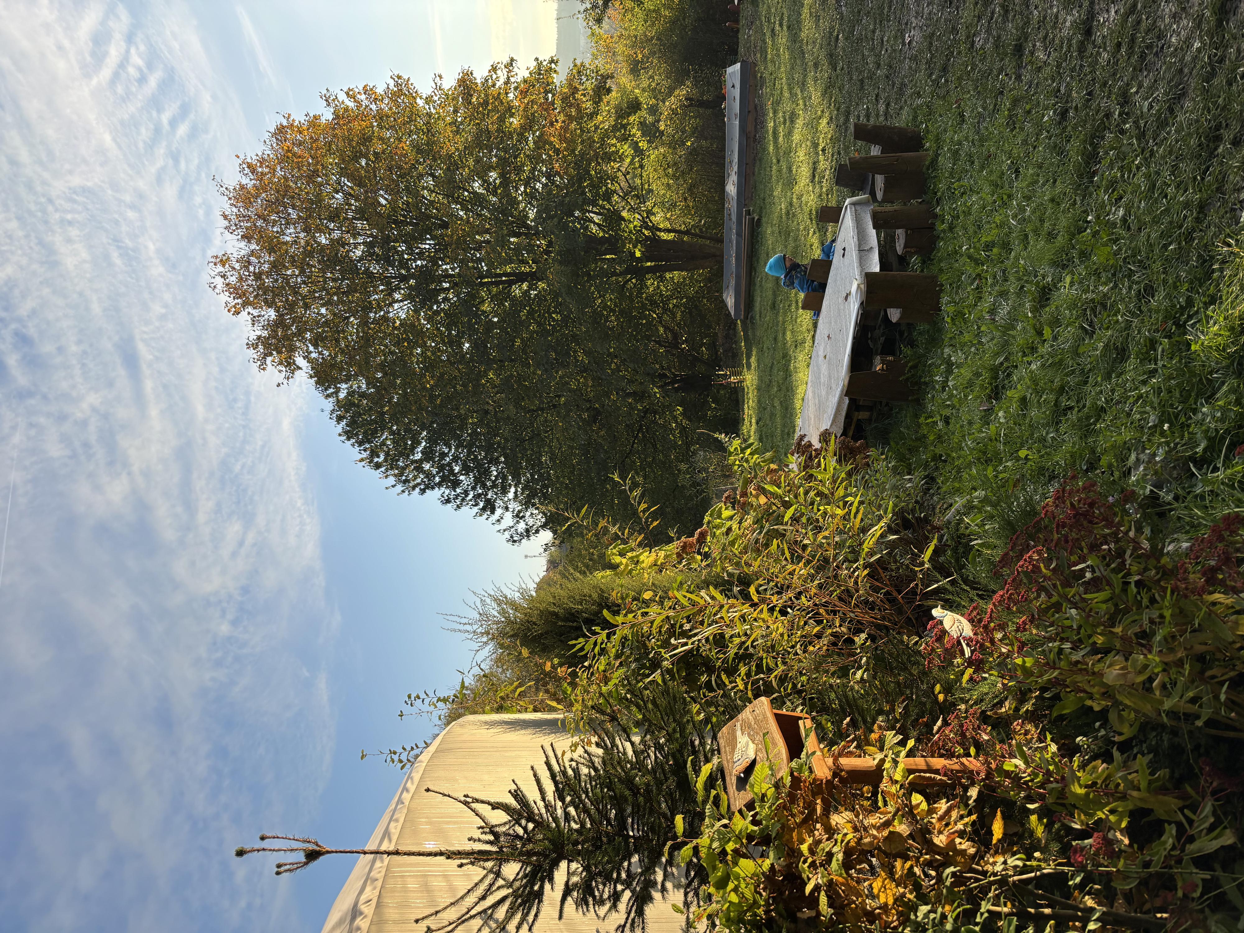 Lesní mateřská škola Dobroděj, z.s. foto 3