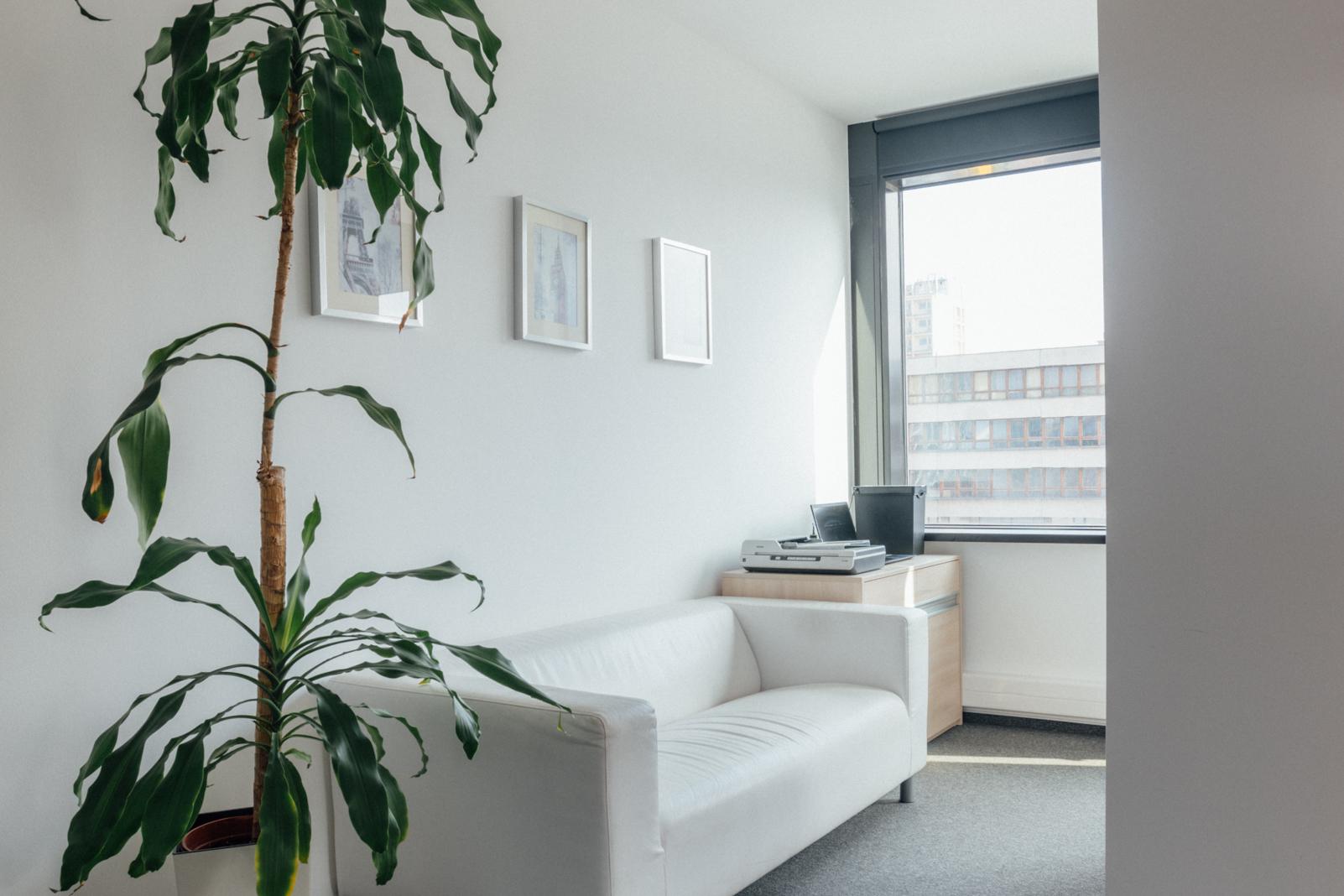 Profesionální předseda s.r.o.