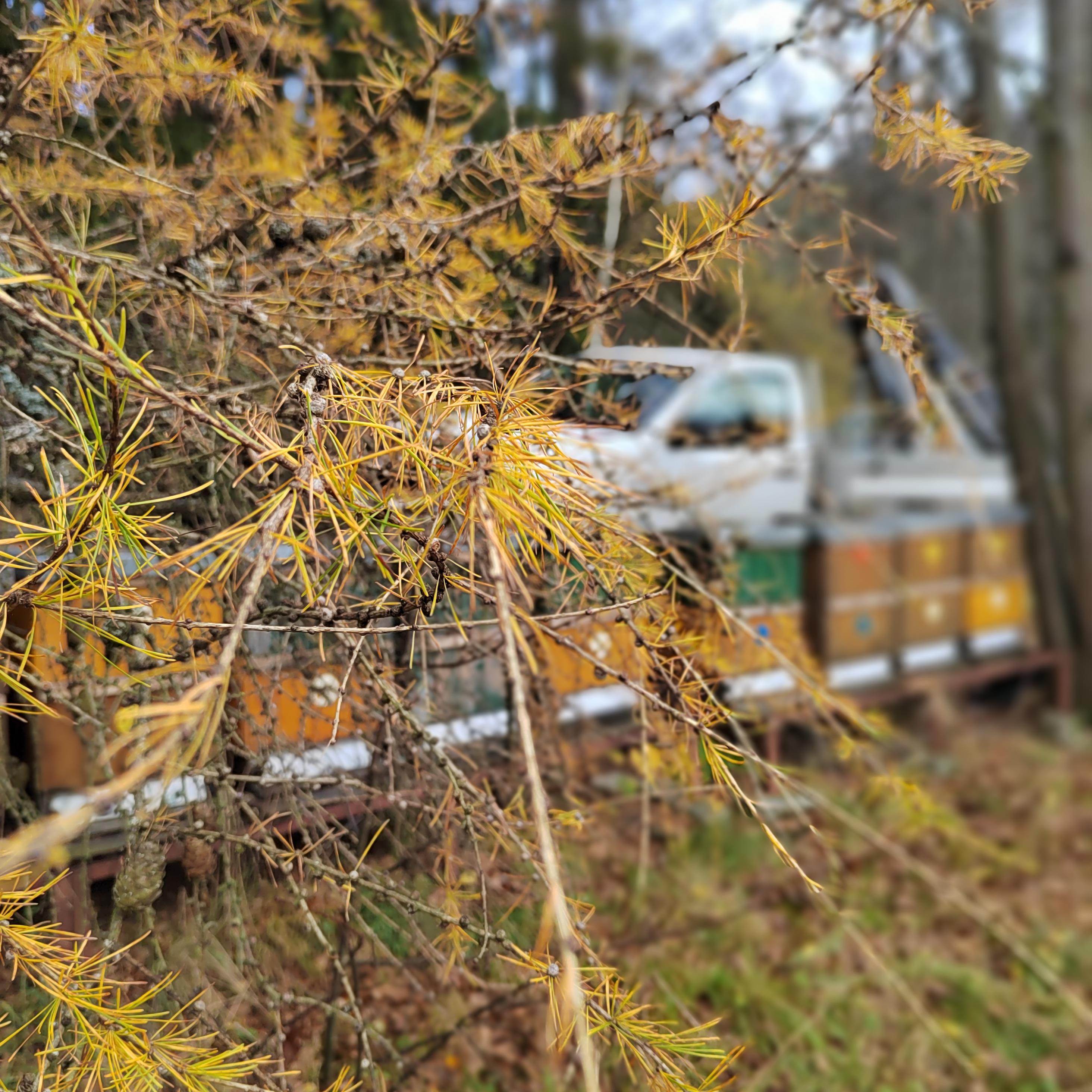 Včelařství Vranik foto 4