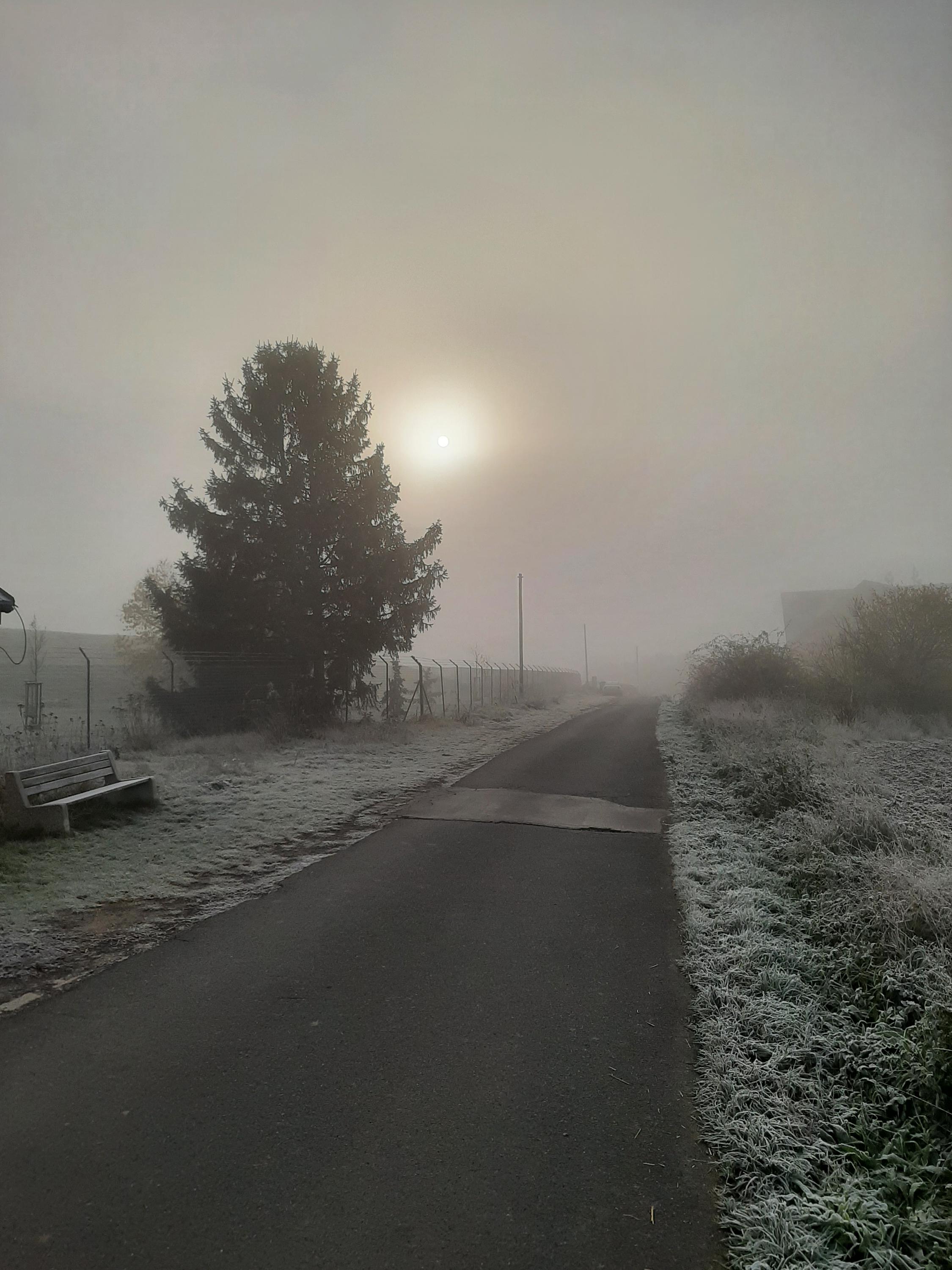 Domov pro seniory Fénix foto 2