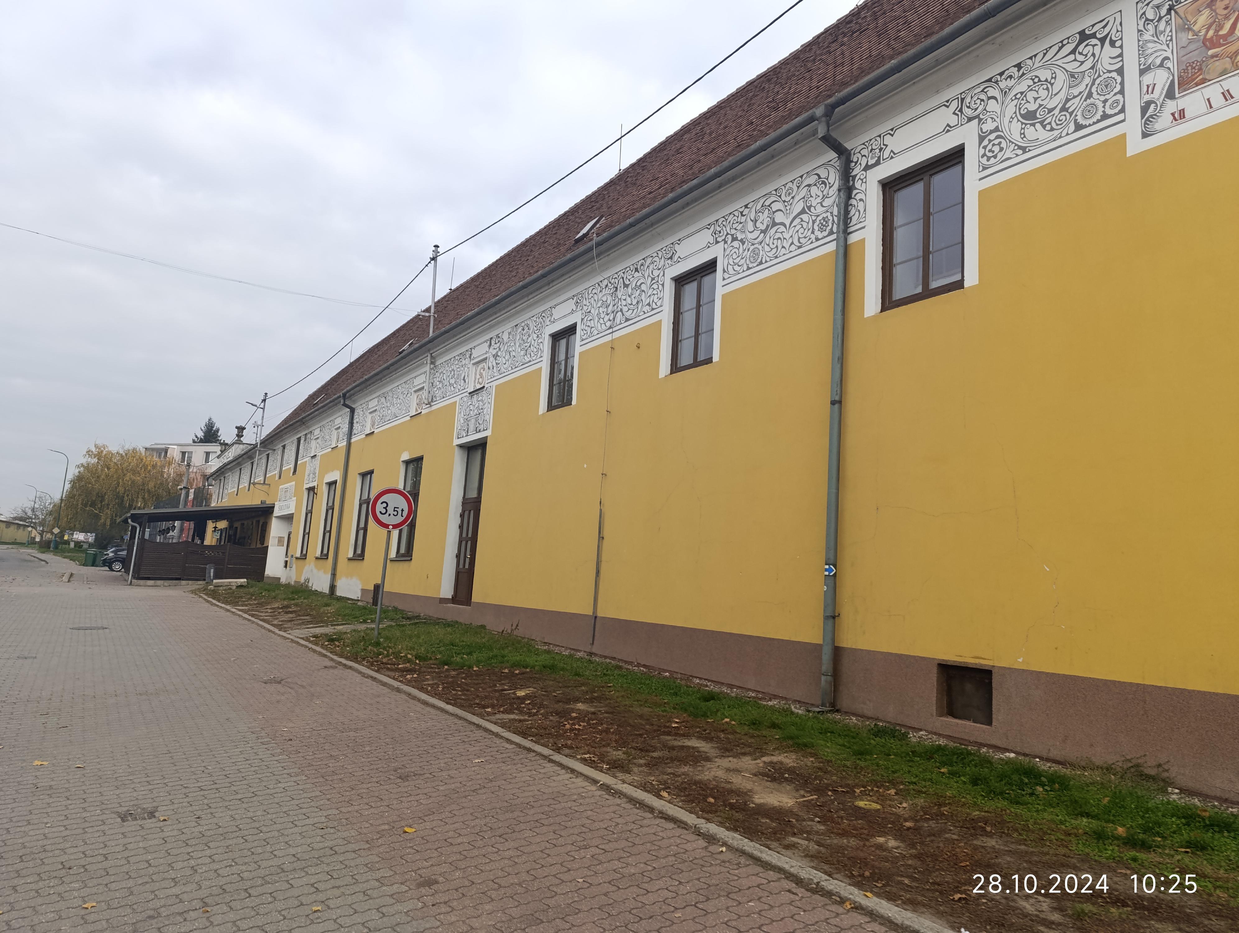 Tělocvičná jednota Sokol Bzenec foto 3