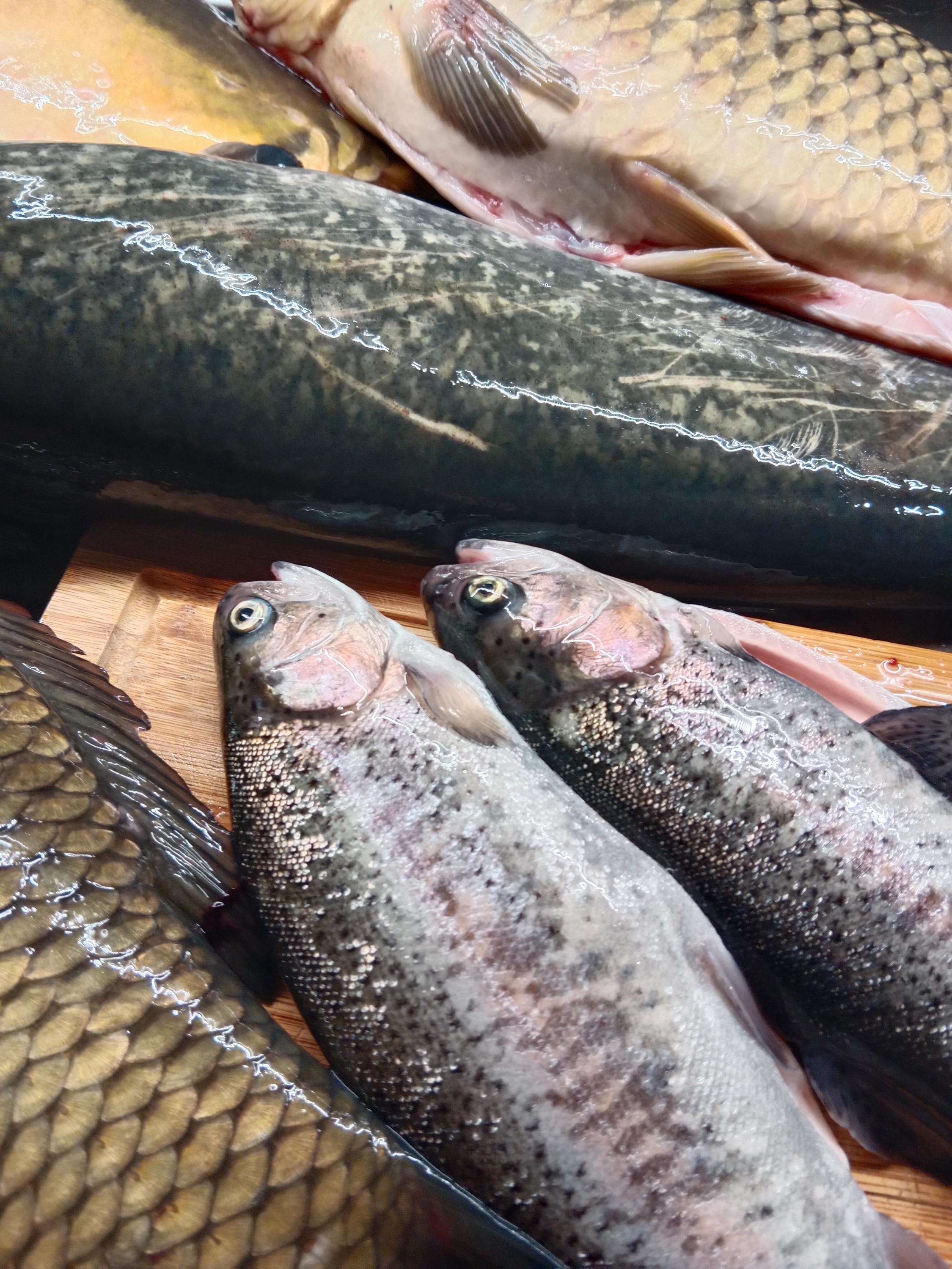 Restaurace Hanačka foto 4